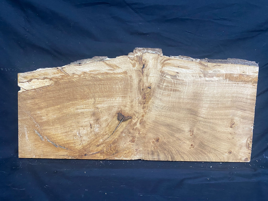 Solid oak plank, shelf, board 671 L x 320 W x 21 D mm      (mf398)