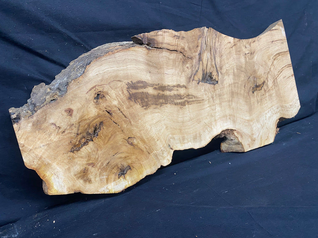 Solid oak plank, shelf, board 636 L x 257 W x 33 D mm      (mf341)