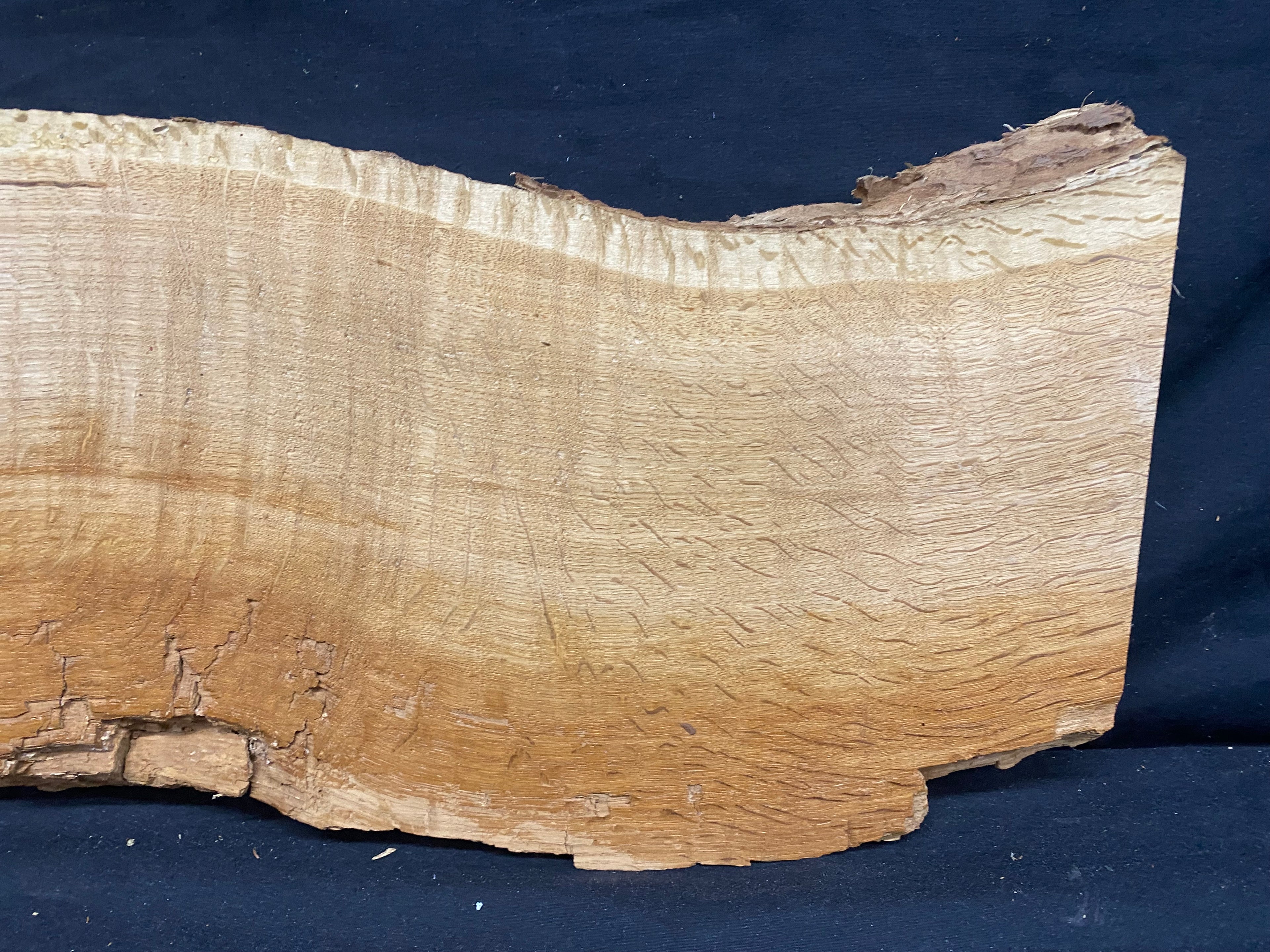 Solid oak plank, shelf, board 600 L x 290 W x 32 D mm      (mf343)