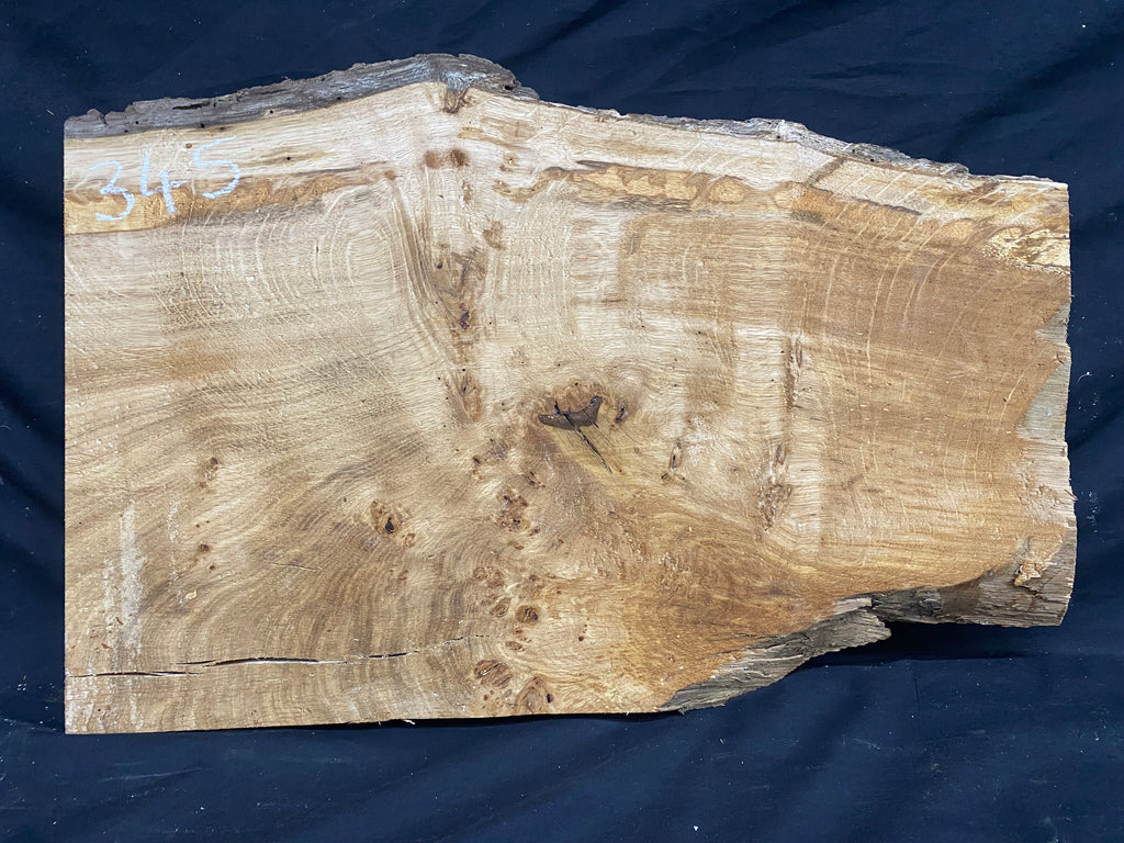 Solid oak plank, shelf, board 574 L x 376 W x 23 D mm      (mf345)
