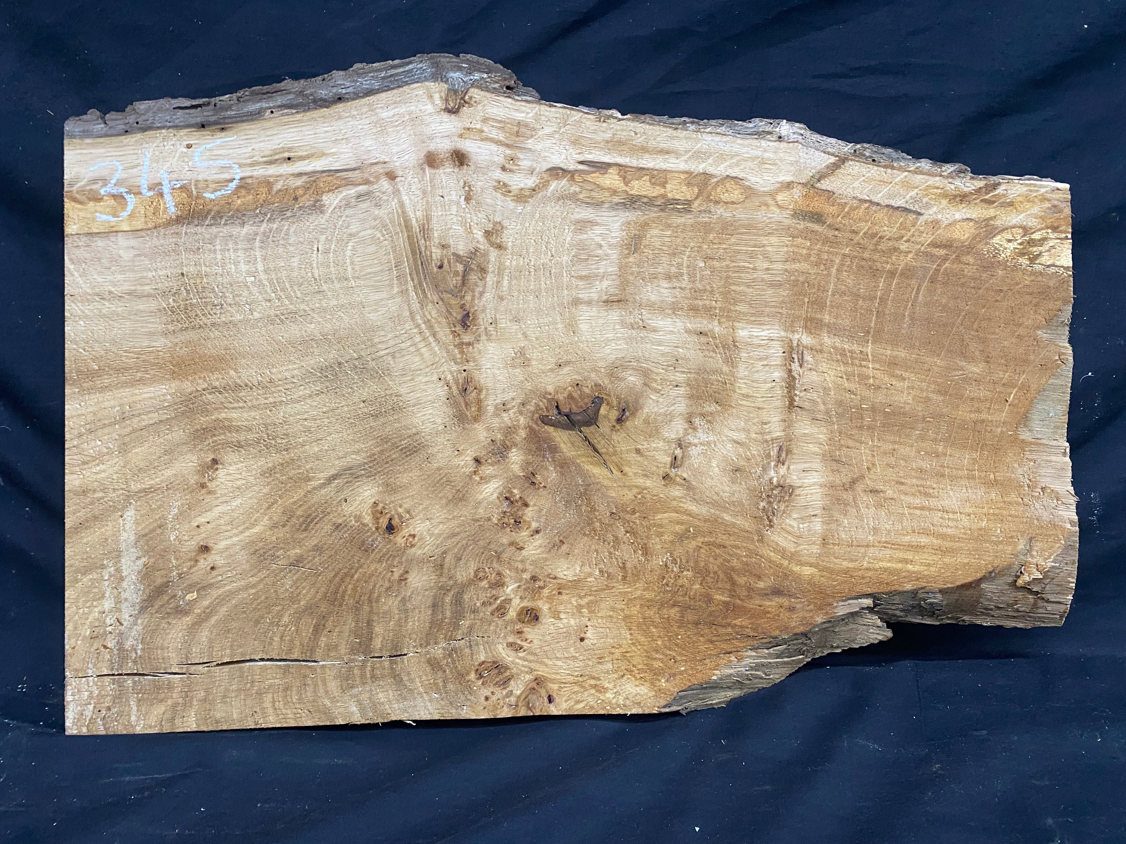 Solid oak plank, shelf, board 574 L x 376 W x 23 D mm      (mf345)