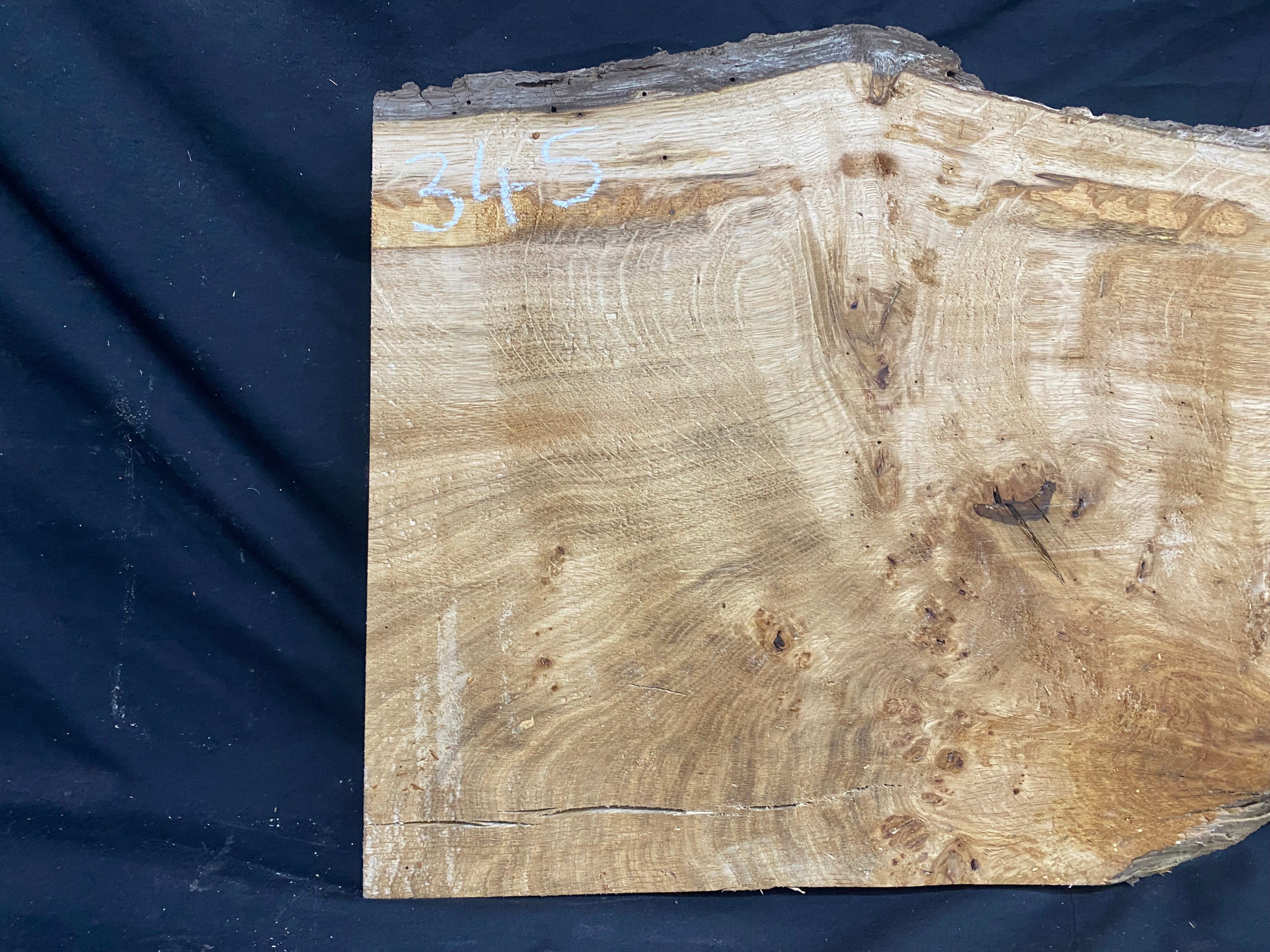 Solid oak plank, shelf, board 574 L x 376 W x 23 D mm      (mf345)