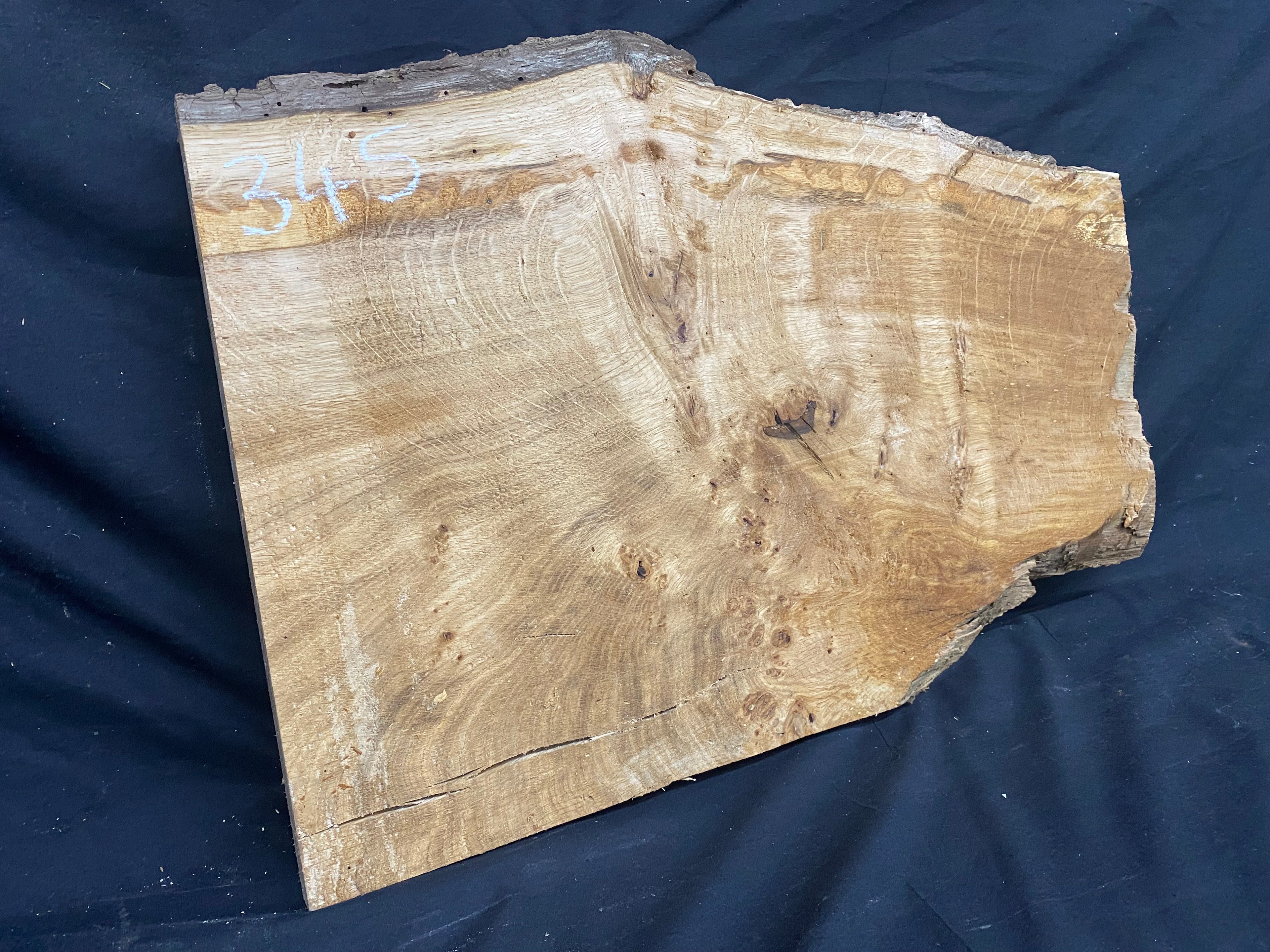 Solid oak plank, shelf, board 574 L x 376 W x 23 D mm      (mf345)