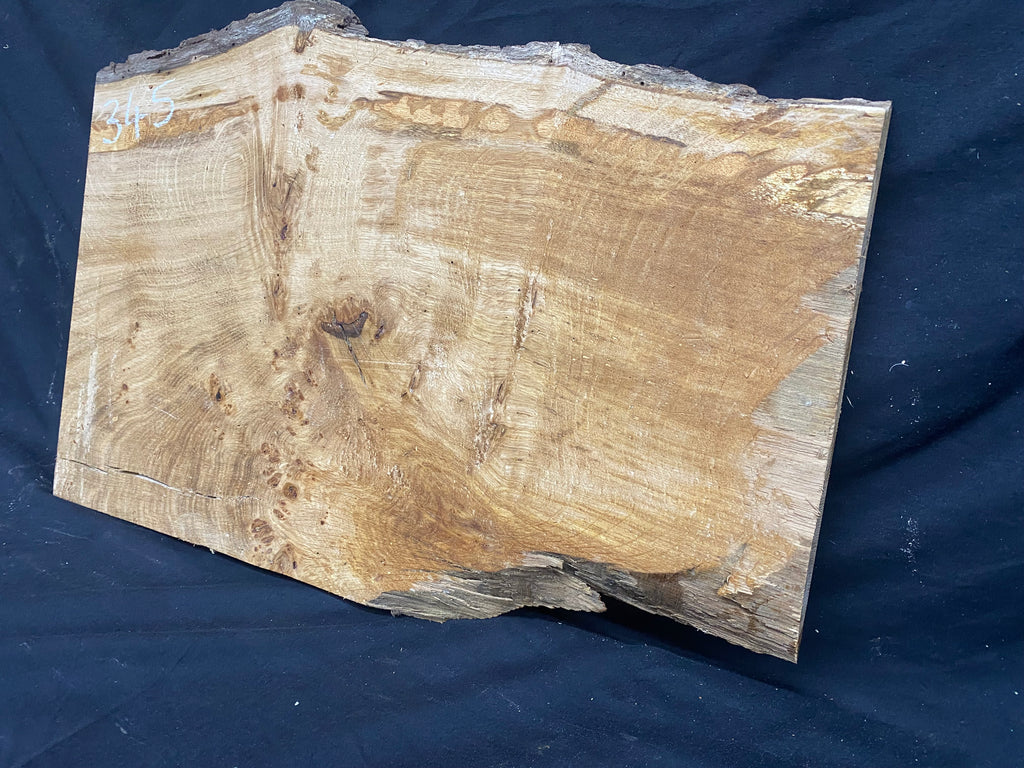 Solid oak plank, shelf, board 574 L x 376 W x 23 D mm      (mf345)