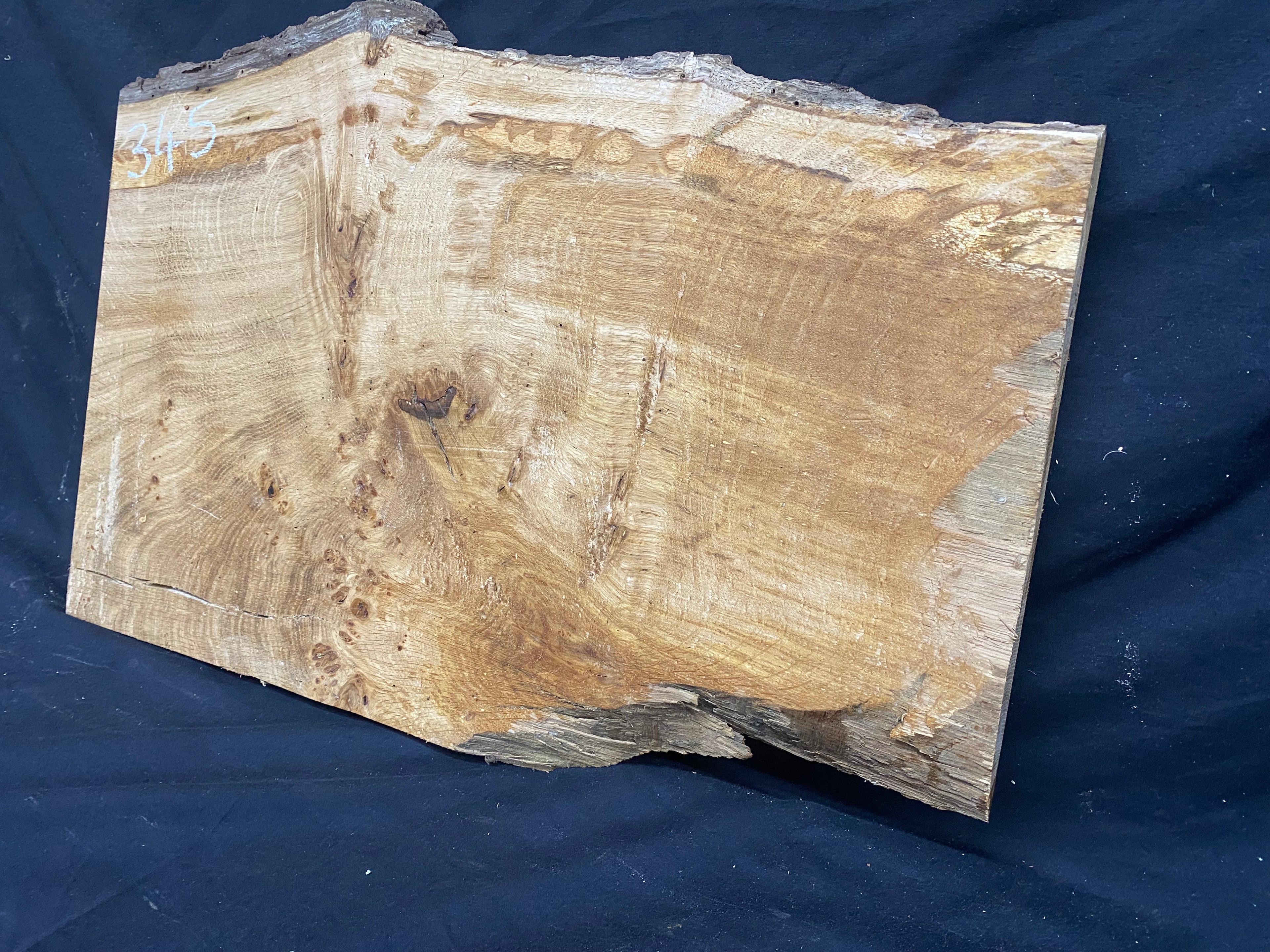 Solid oak plank, shelf, board 574 L x 376 W x 23 D mm      (mf345)