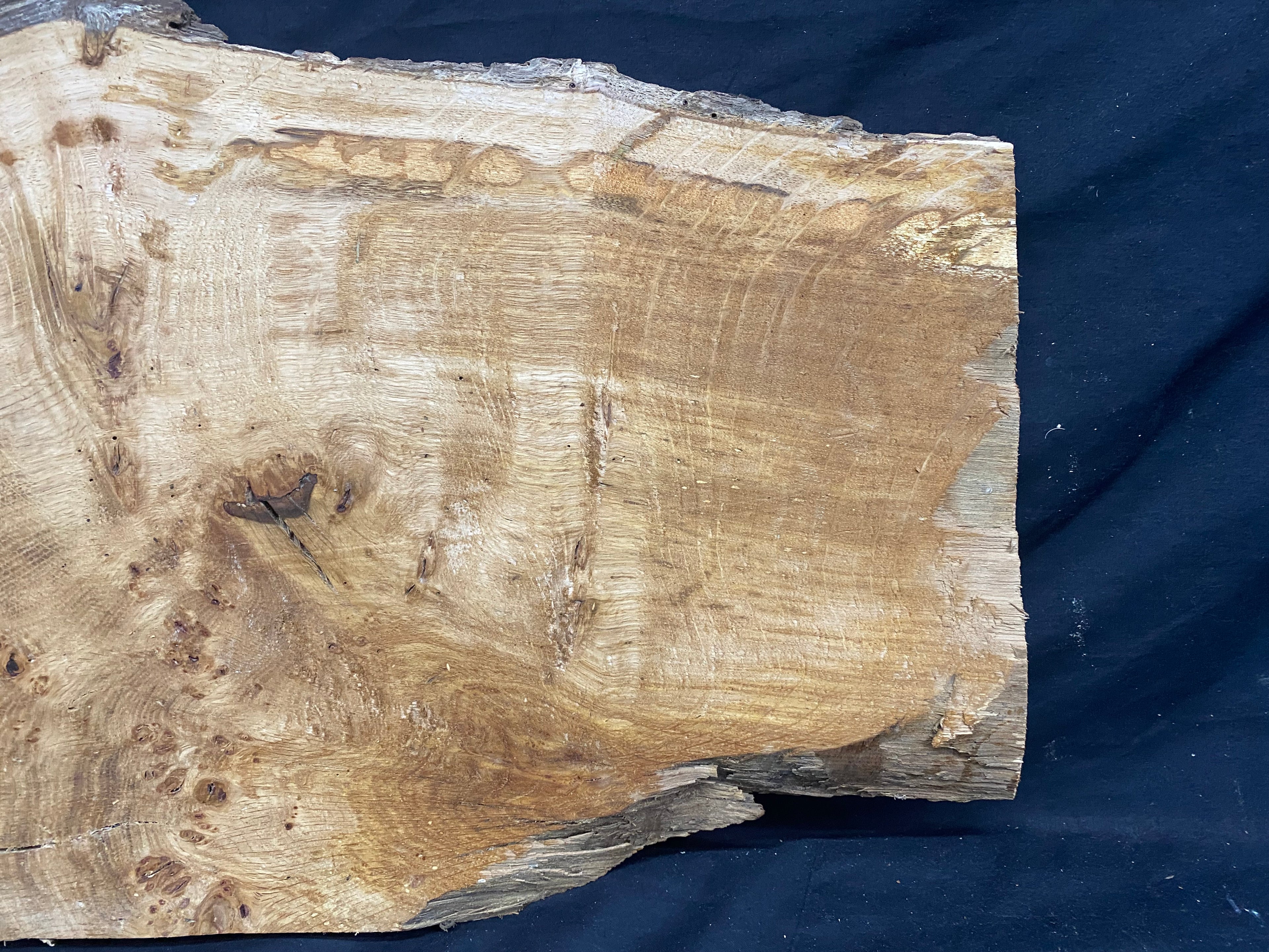 Solid oak plank, shelf, board 574 L x 376 W x 23 D mm      (mf345)