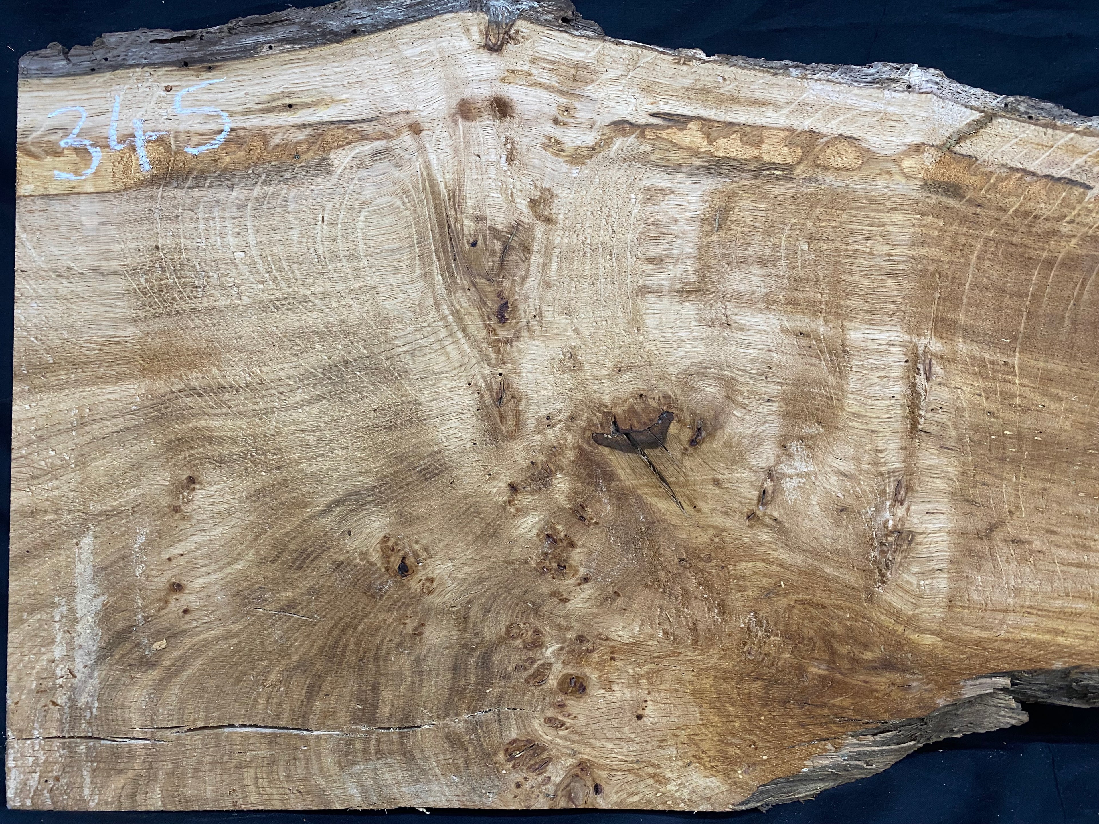 Solid oak plank, shelf, board 574 L x 376 W x 23 D mm      (mf345)