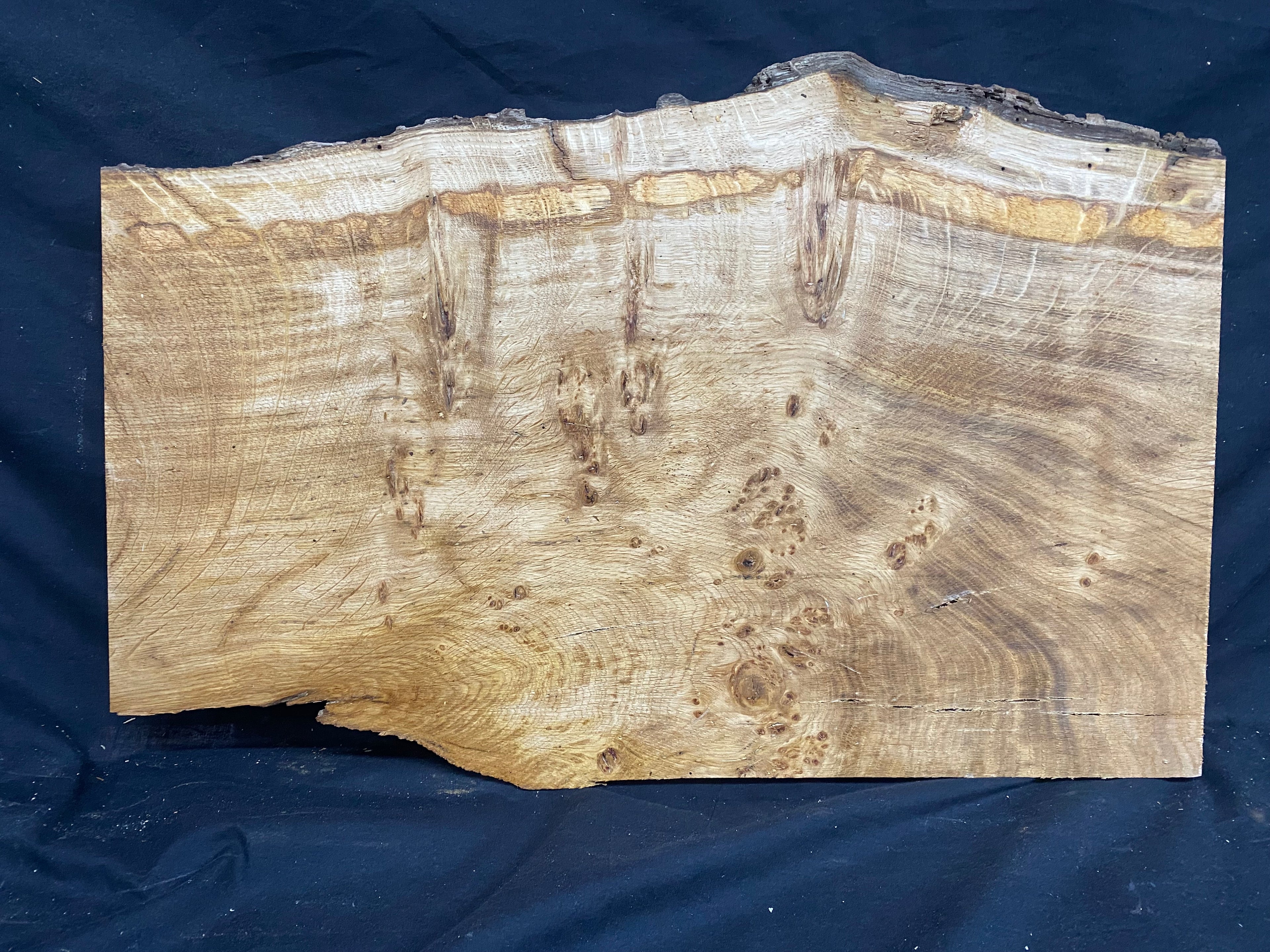 Solid oak plank, shelf, board 574 L x 376 W x 23 D mm      (mf345)