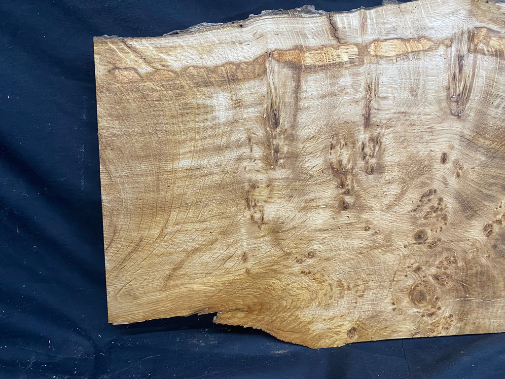 Solid oak plank, shelf, board 574 L x 376 W x 23 D mm      (mf345)