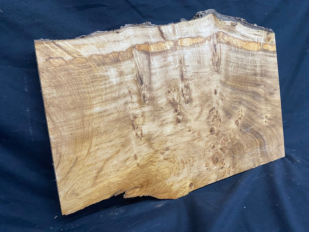 Solid oak plank, shelf, board 574 L x 376 W x 23 D mm      (mf345)