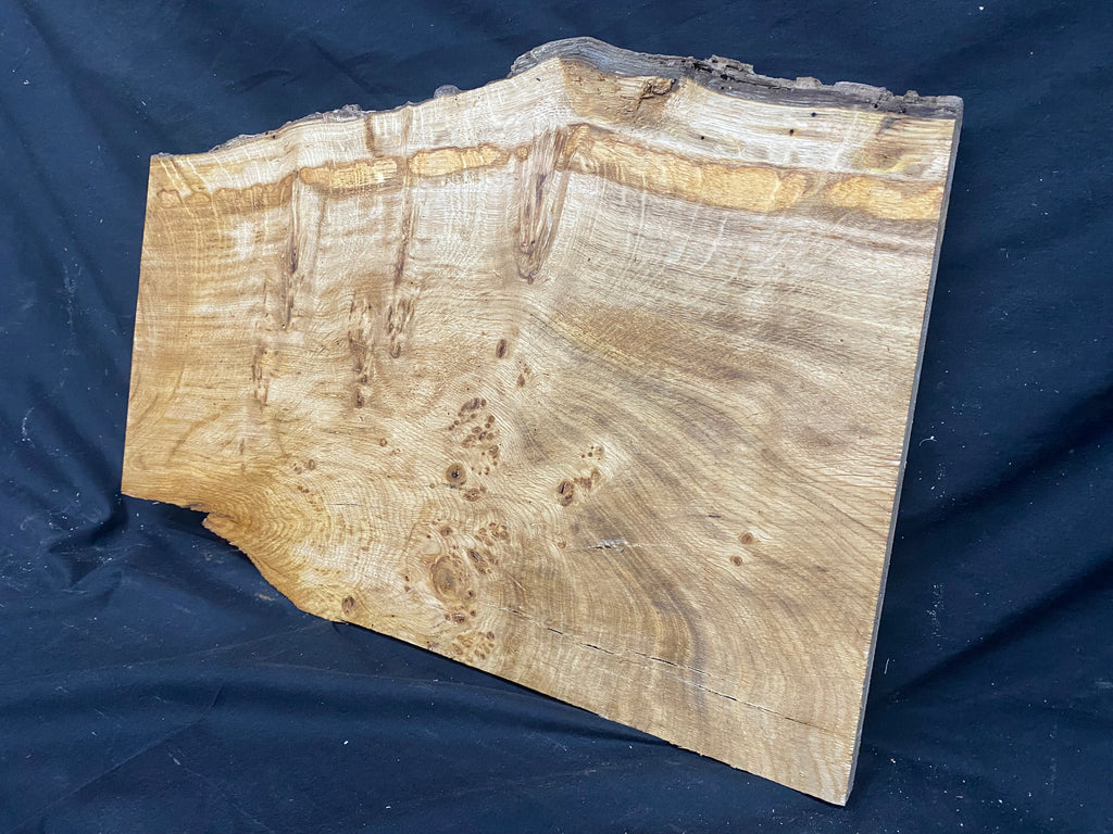 Solid oak plank, shelf, board 574 L x 376 W x 23 D mm      (mf345)