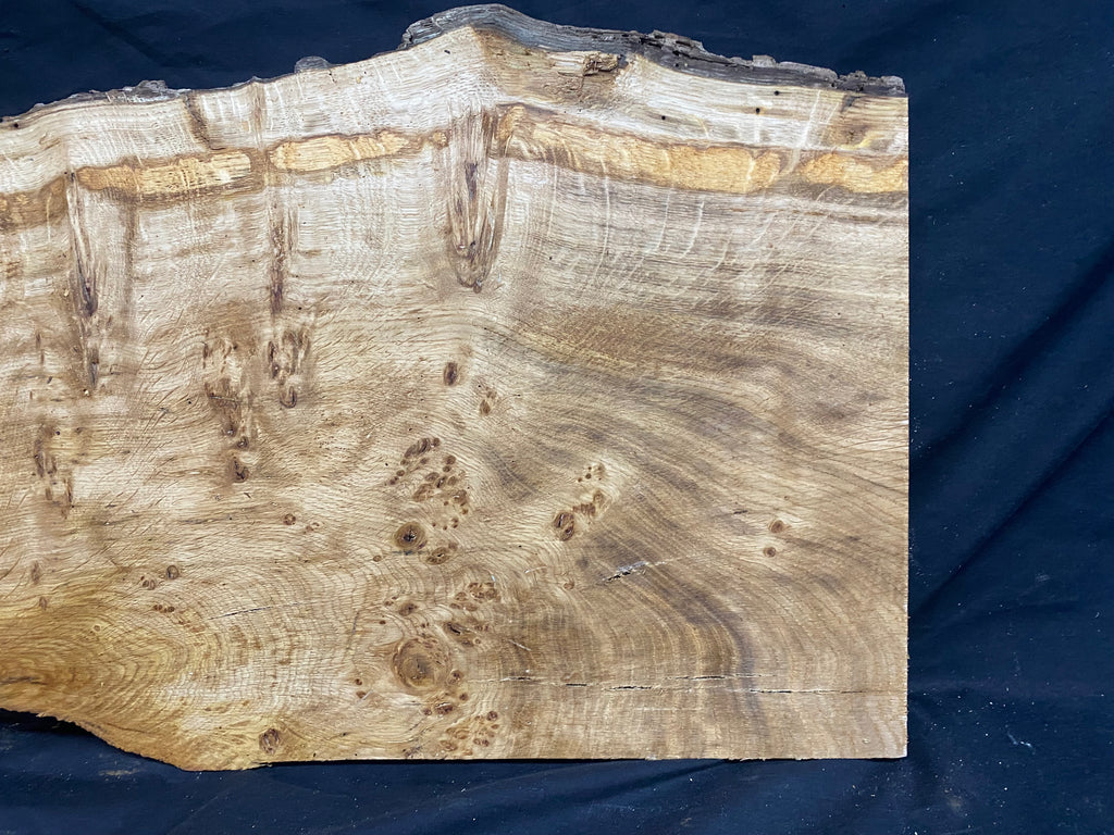 Solid oak plank, shelf, board 574 L x 376 W x 23 D mm      (mf345)