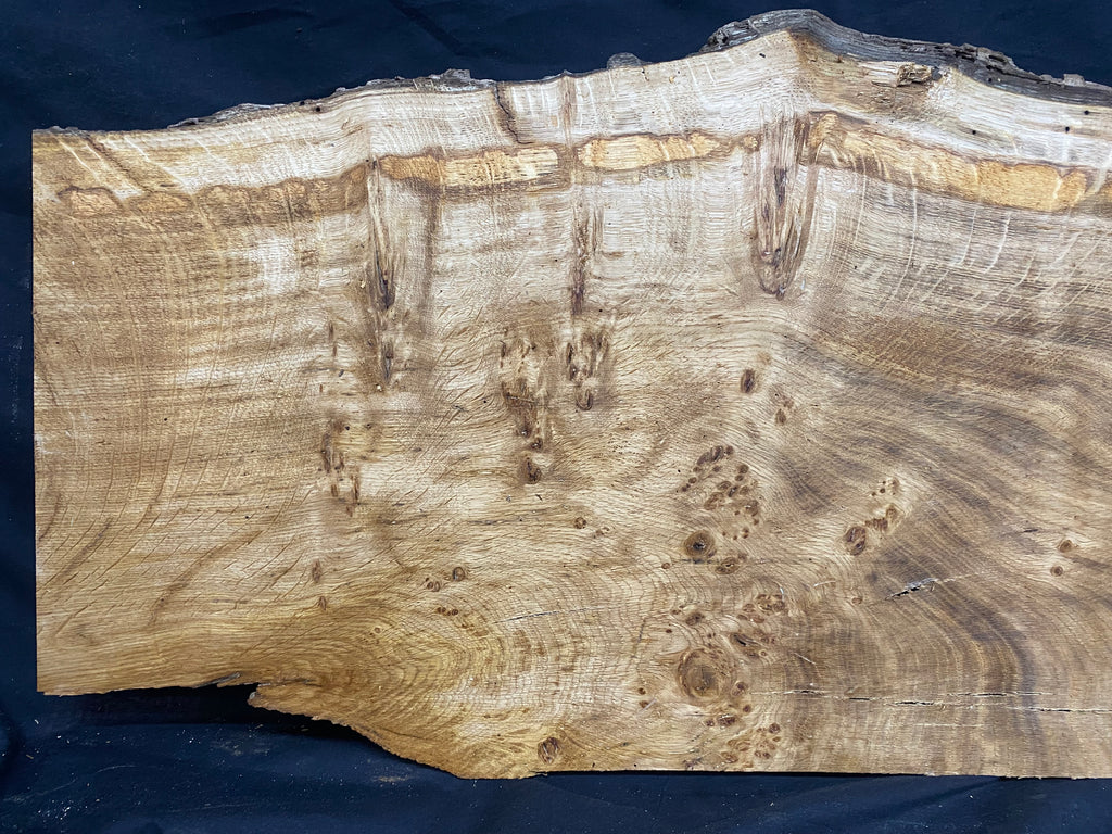 Solid oak plank, shelf, board 574 L x 376 W x 23 D mm      (mf345)