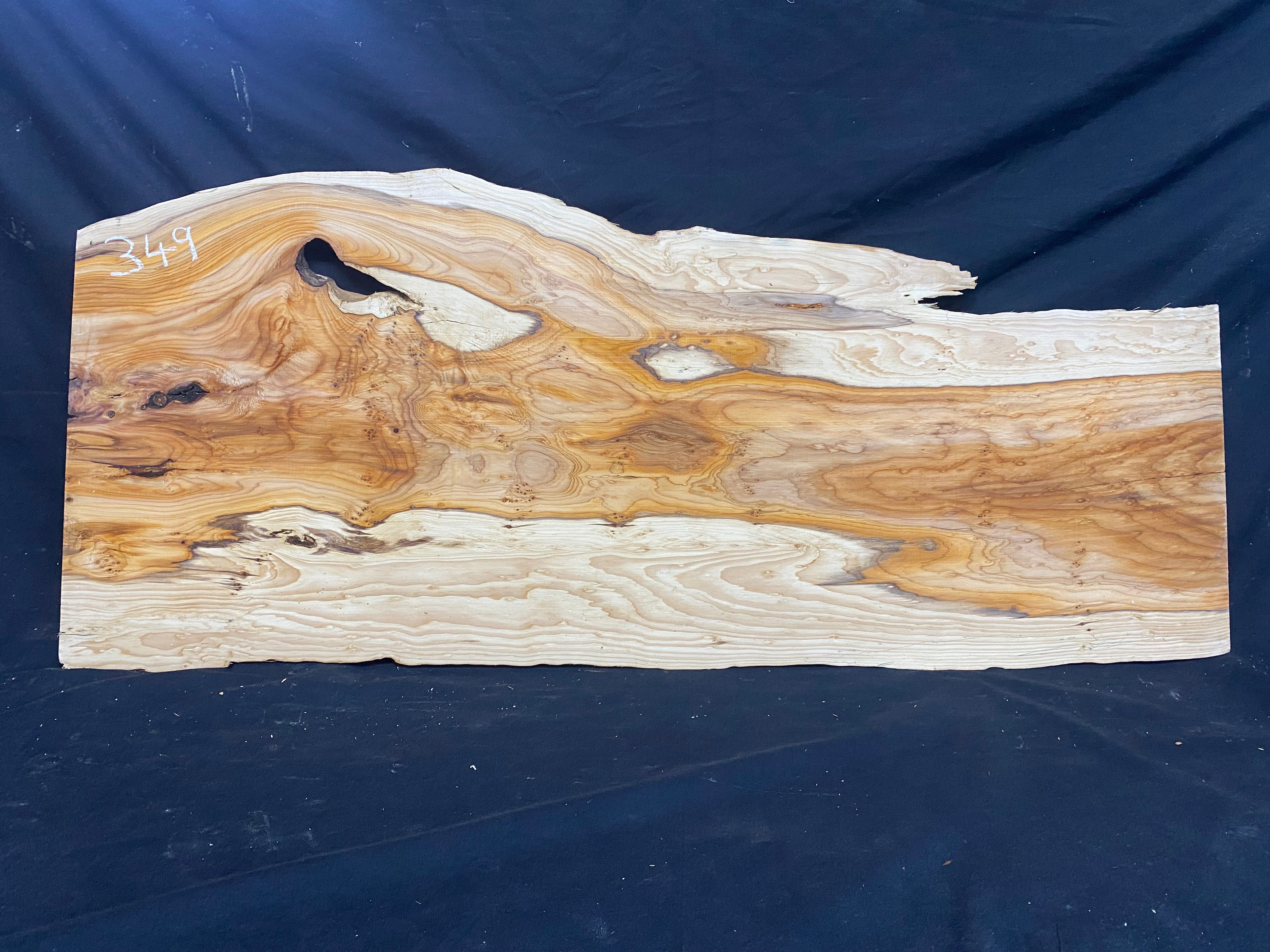 Hardwood yew, slab, resin table blank  1026 L x 440 W x 23 D mm    (mf349)