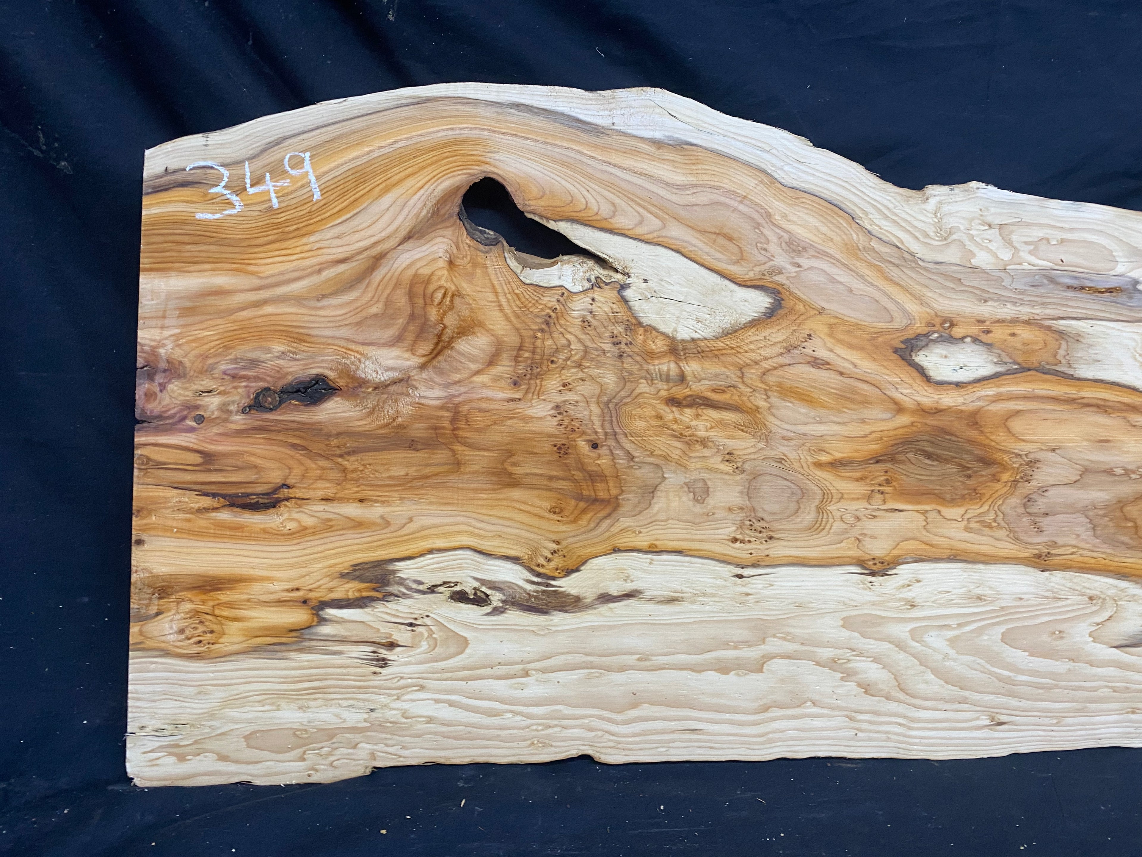 Hardwood yew, slab, resin table blank  1026 L x 440 W x 23 D mm    (mf349)