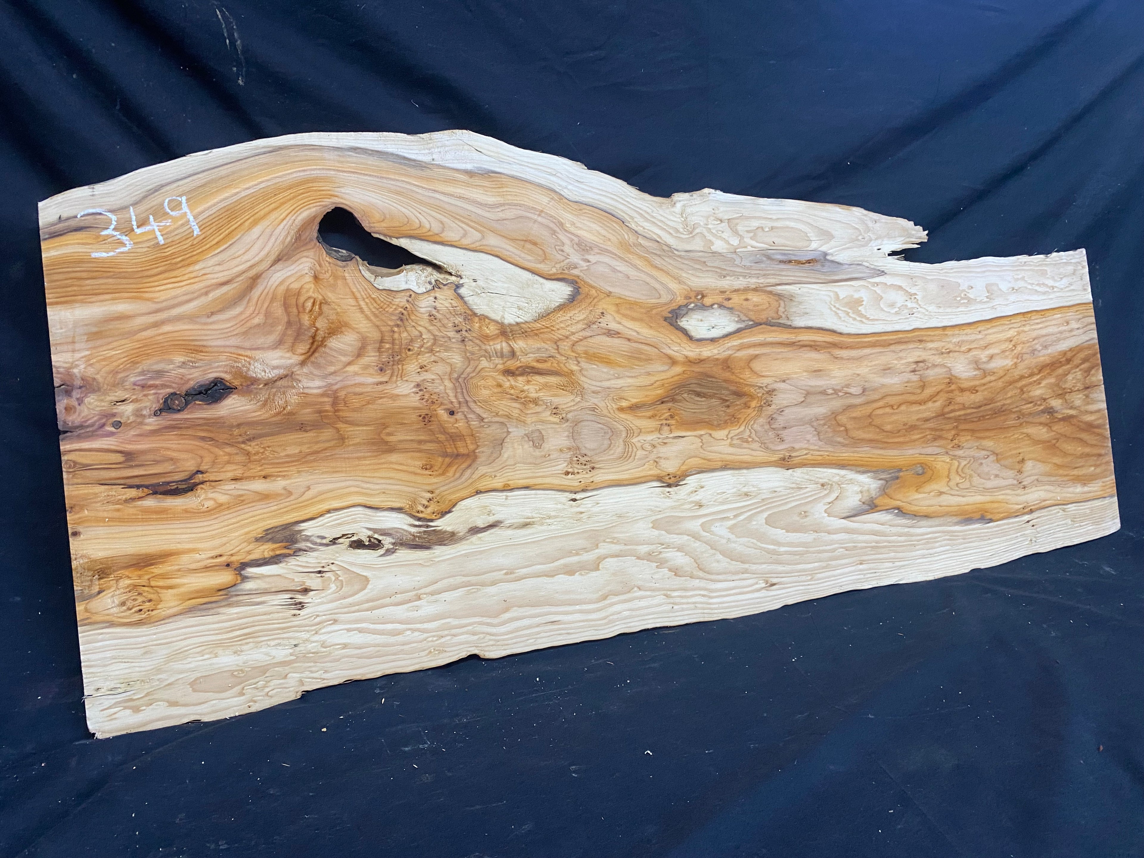 Hardwood yew, slab, resin table blank  1026 L x 440 W x 23 D mm    (mf349)