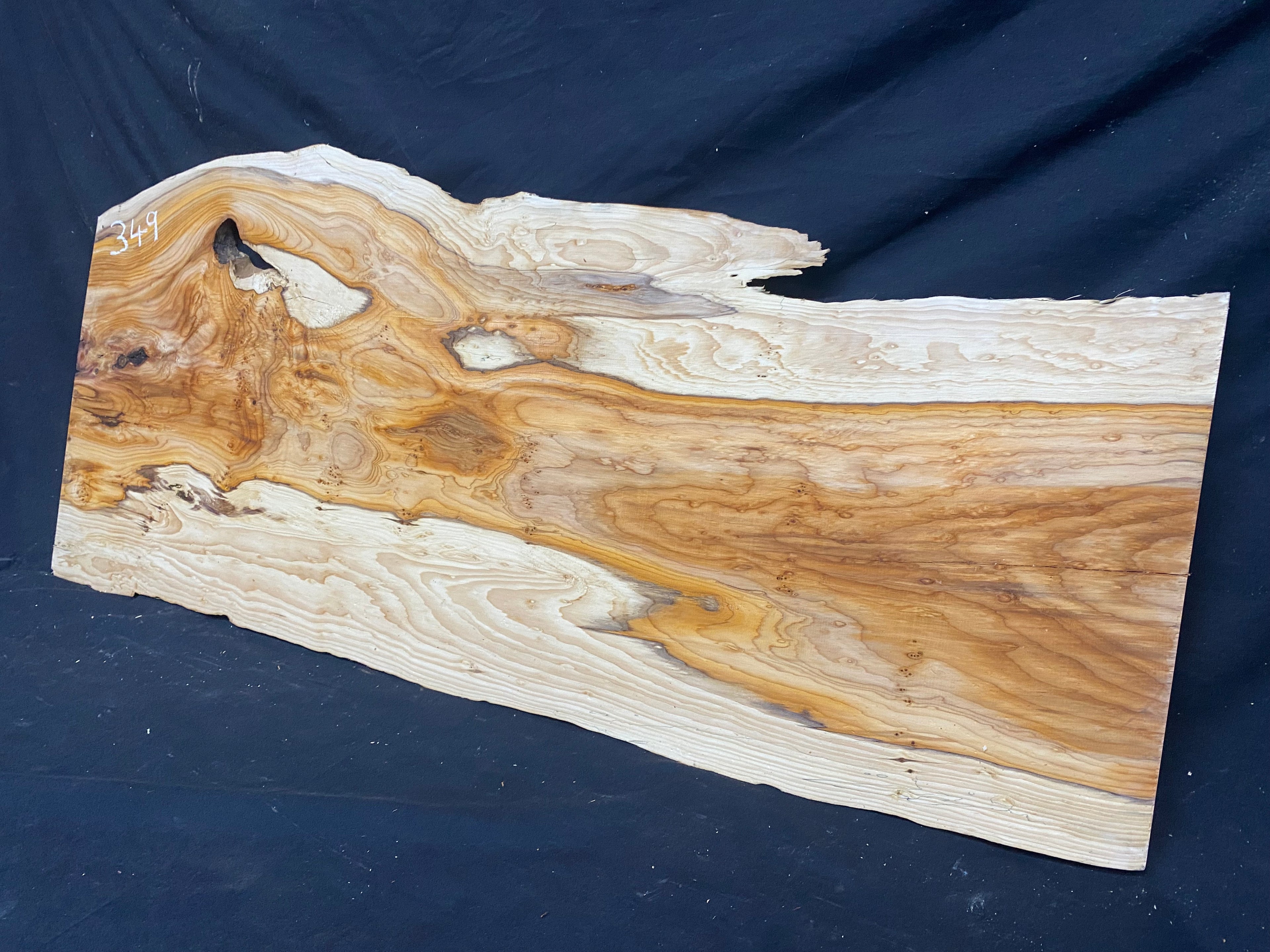 Hardwood yew, slab, resin table blank  1026 L x 440 W x 23 D mm    (mf349)