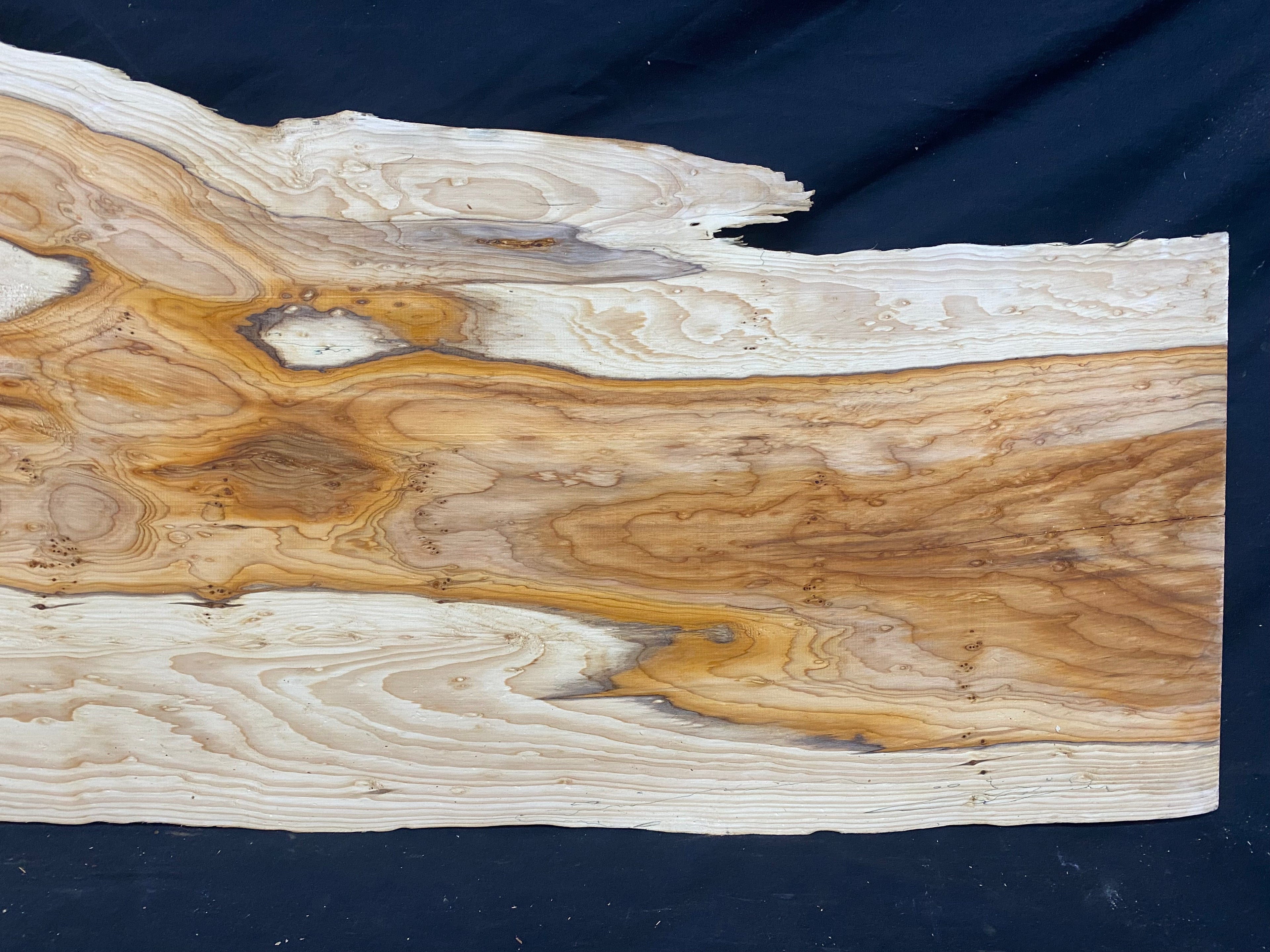 Hardwood yew, slab, resin table blank  1026 L x 440 W x 23 D mm    (mf349)