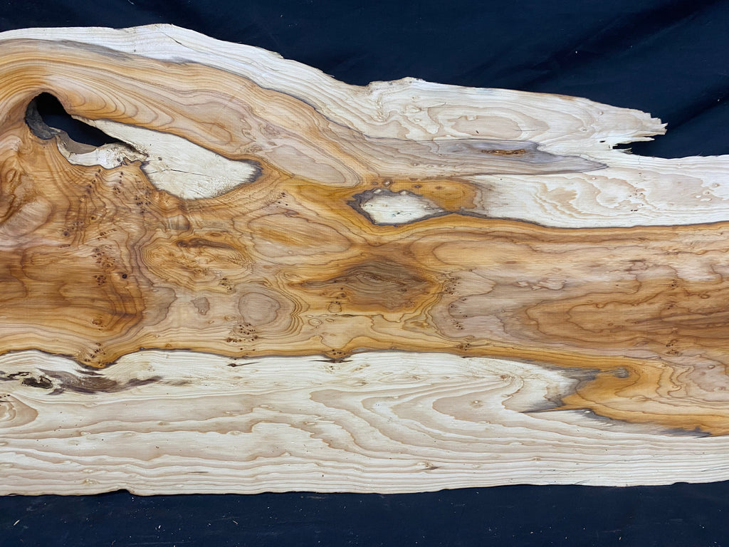 Hardwood yew, slab, resin table blank  1026 L x 440 W x 23 D mm    (mf349)