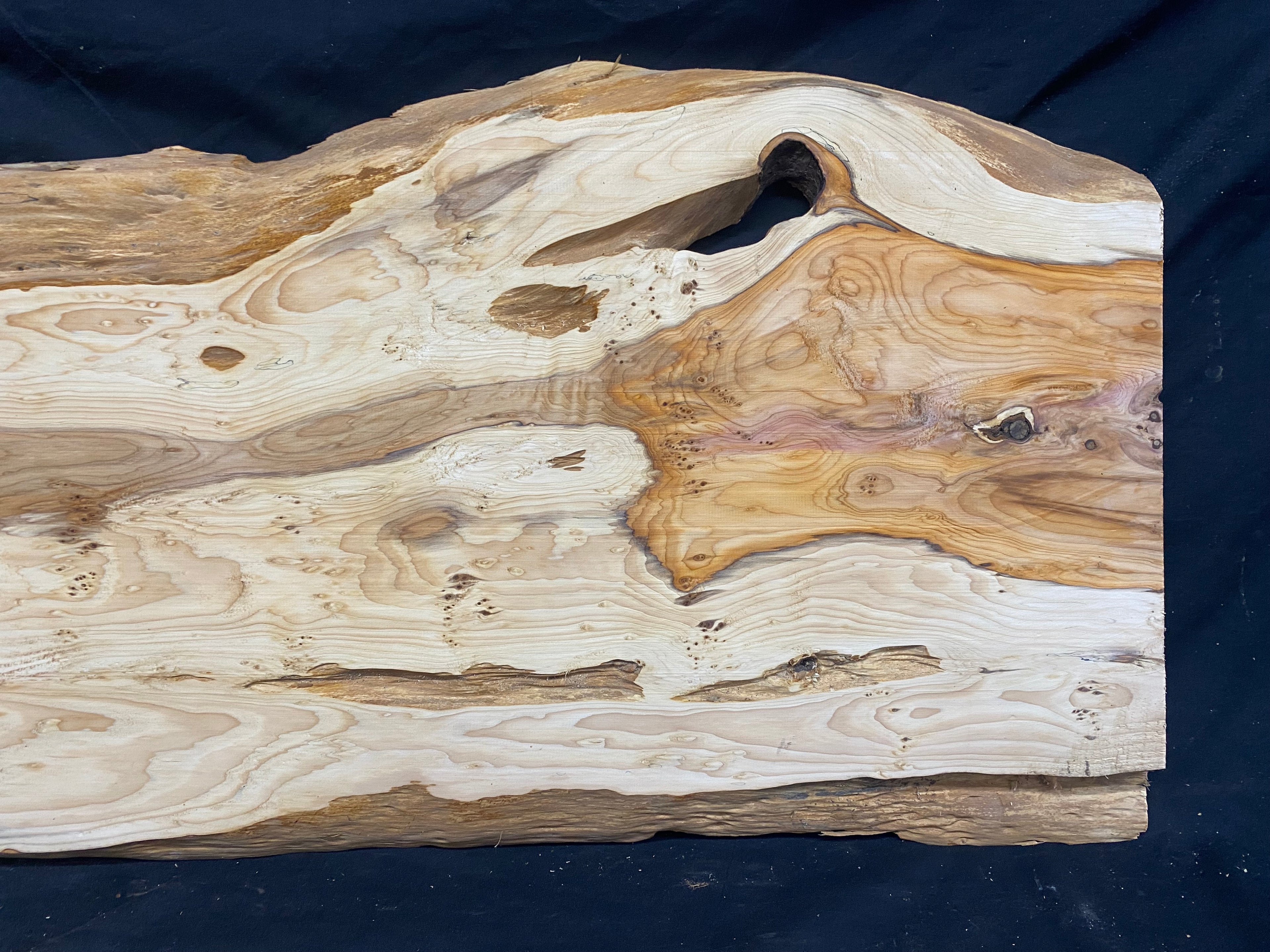 Hardwood yew, slab, resin table blank  1026 L x 440 W x 23 D mm    (mf349)