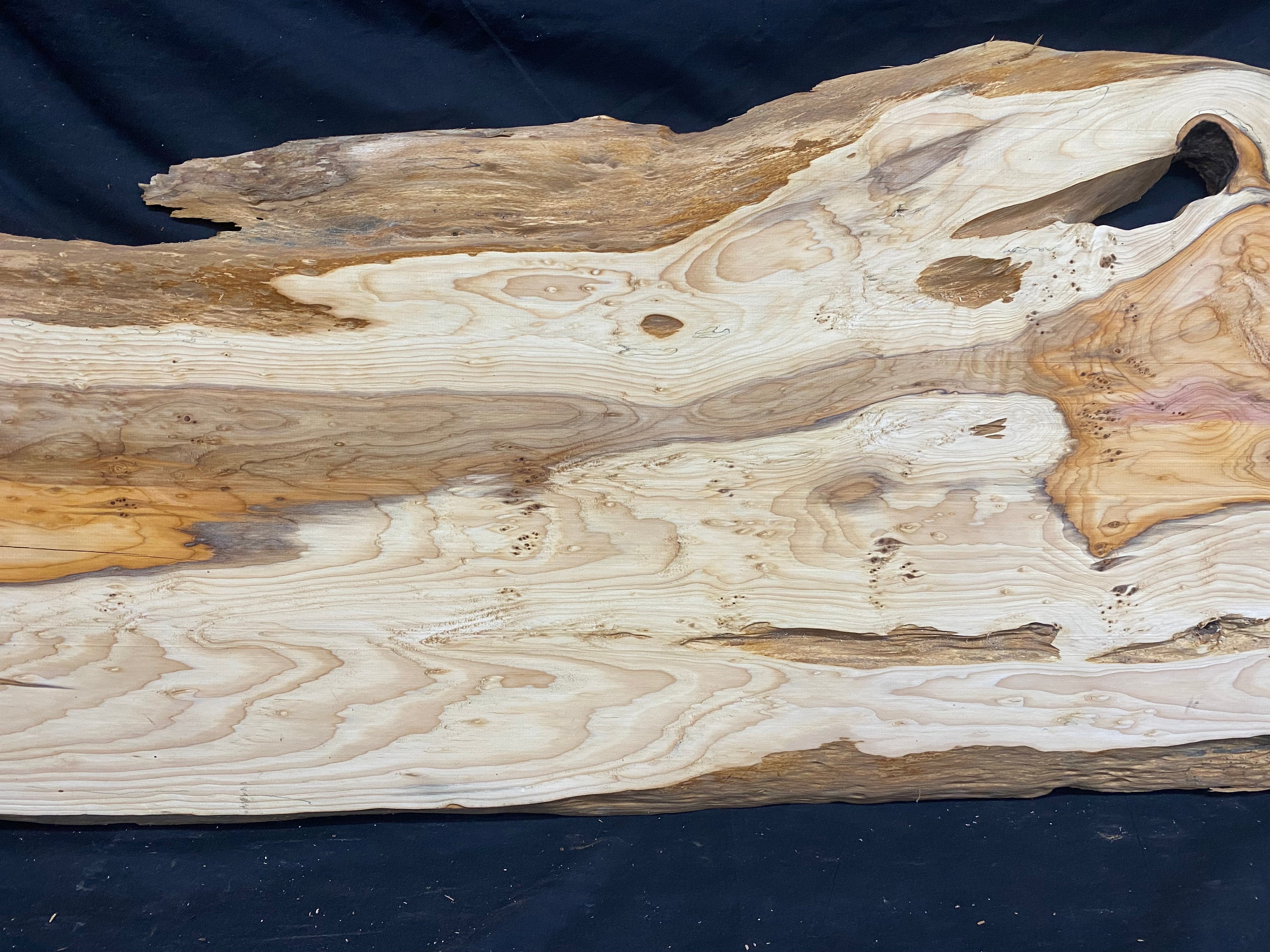 Hardwood yew, slab, resin table blank  1026 L x 440 W x 23 D mm    (mf349)
