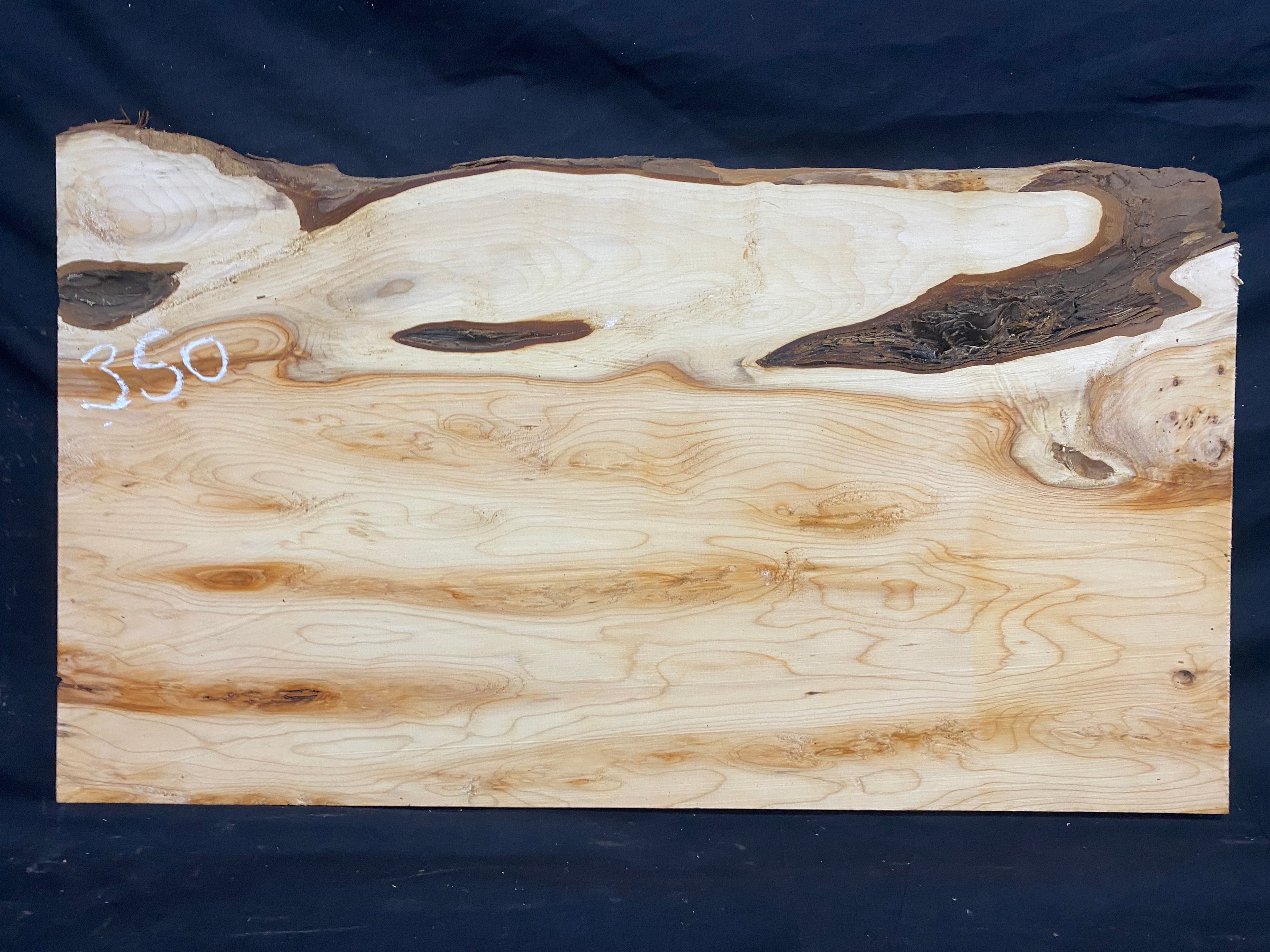 Hardwood yew, slab, resin table blank  559 L x 325 W x 19 D mm    (mf350)