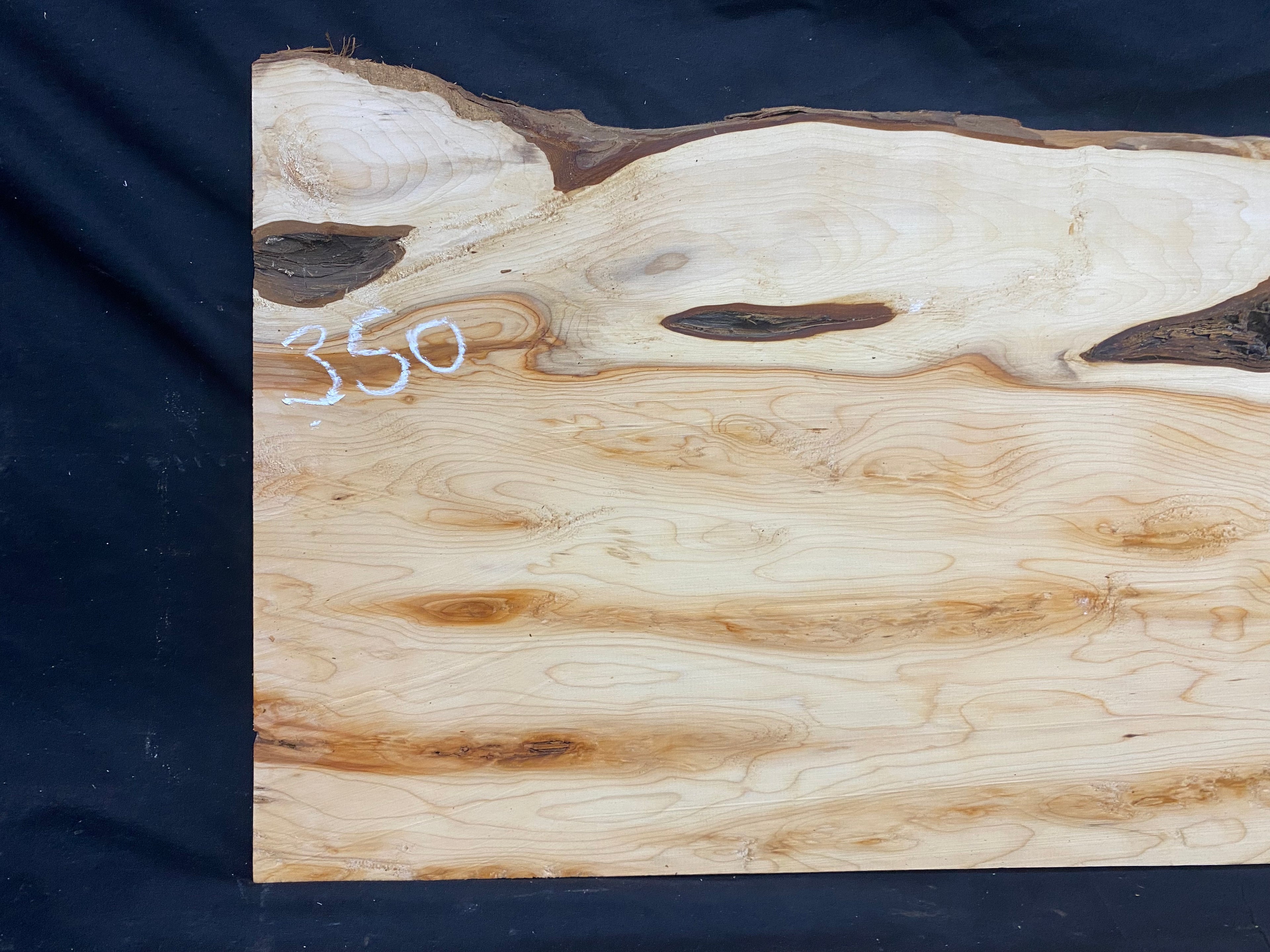 Hardwood yew, slab, resin table blank  559 L x 325 W x 19 D mm    (mf350)