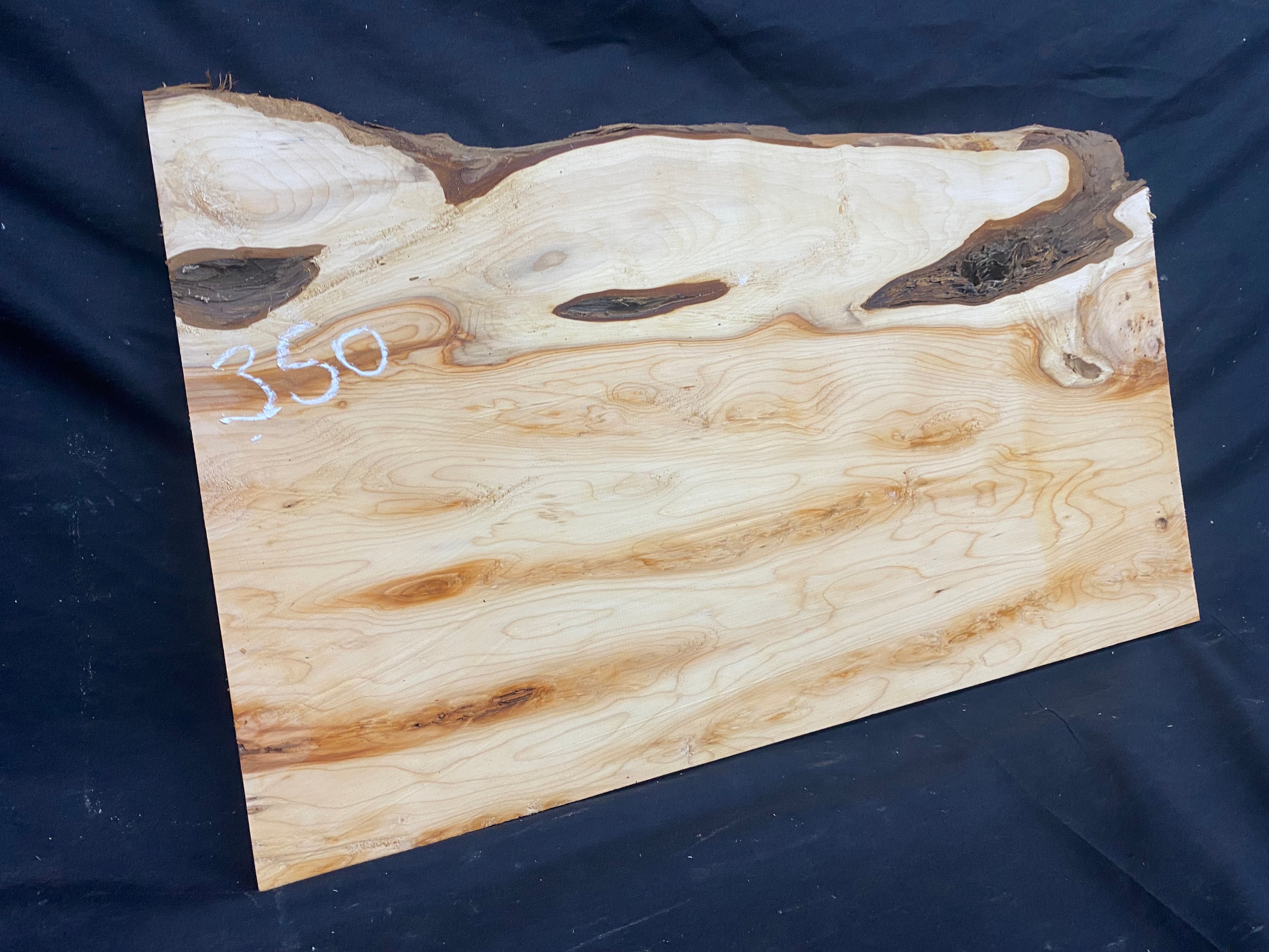 Hardwood yew, slab, resin table blank  559 L x 325 W x 19 D mm    (mf350)