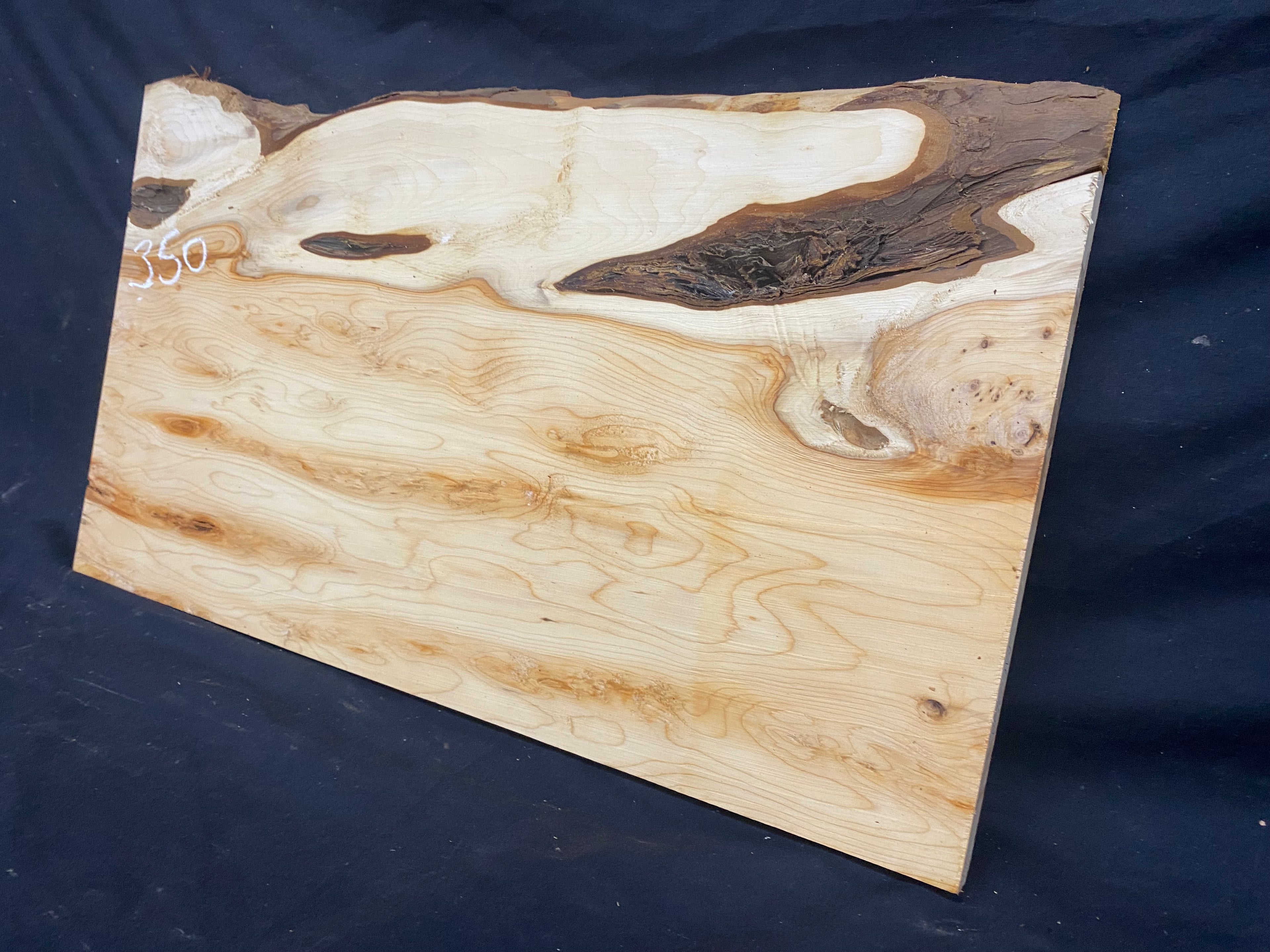Hardwood yew, slab, resin table blank  559 L x 325 W x 19 D mm    (mf350)