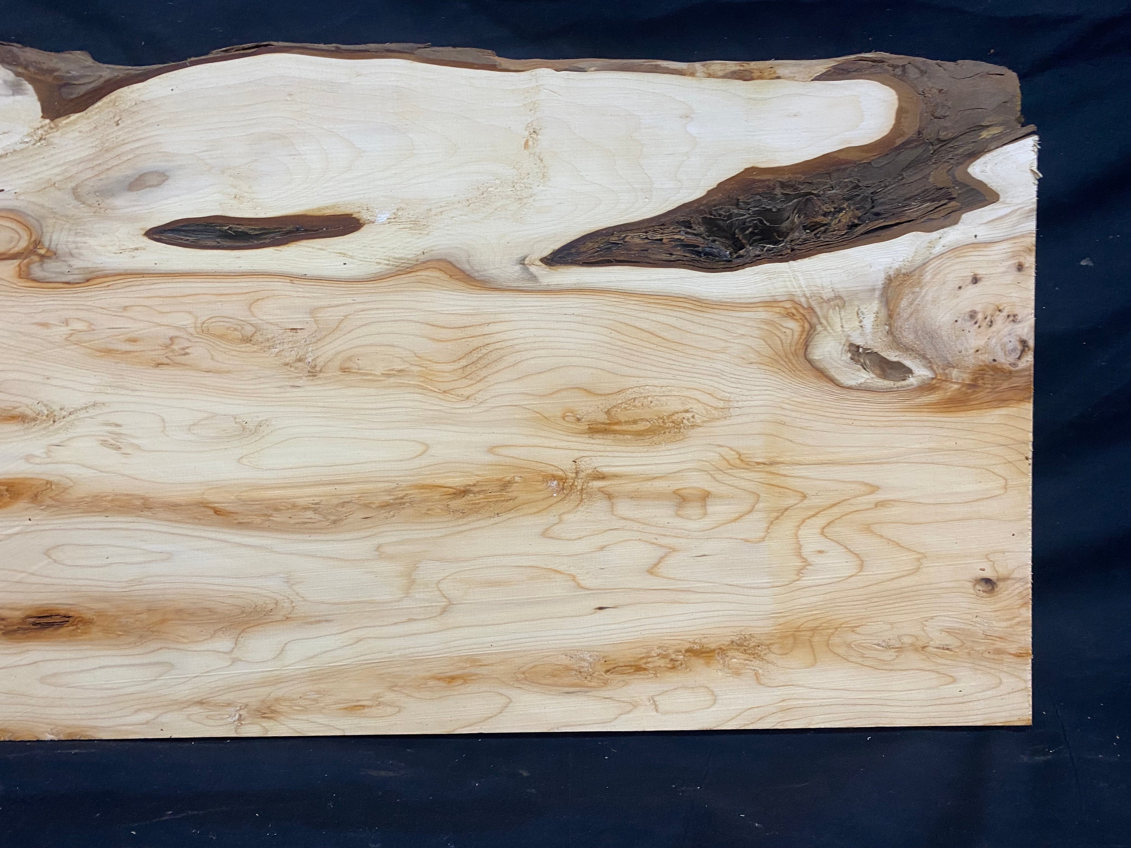 Hardwood yew, slab, resin table blank  559 L x 325 W x 19 D mm    (mf350)