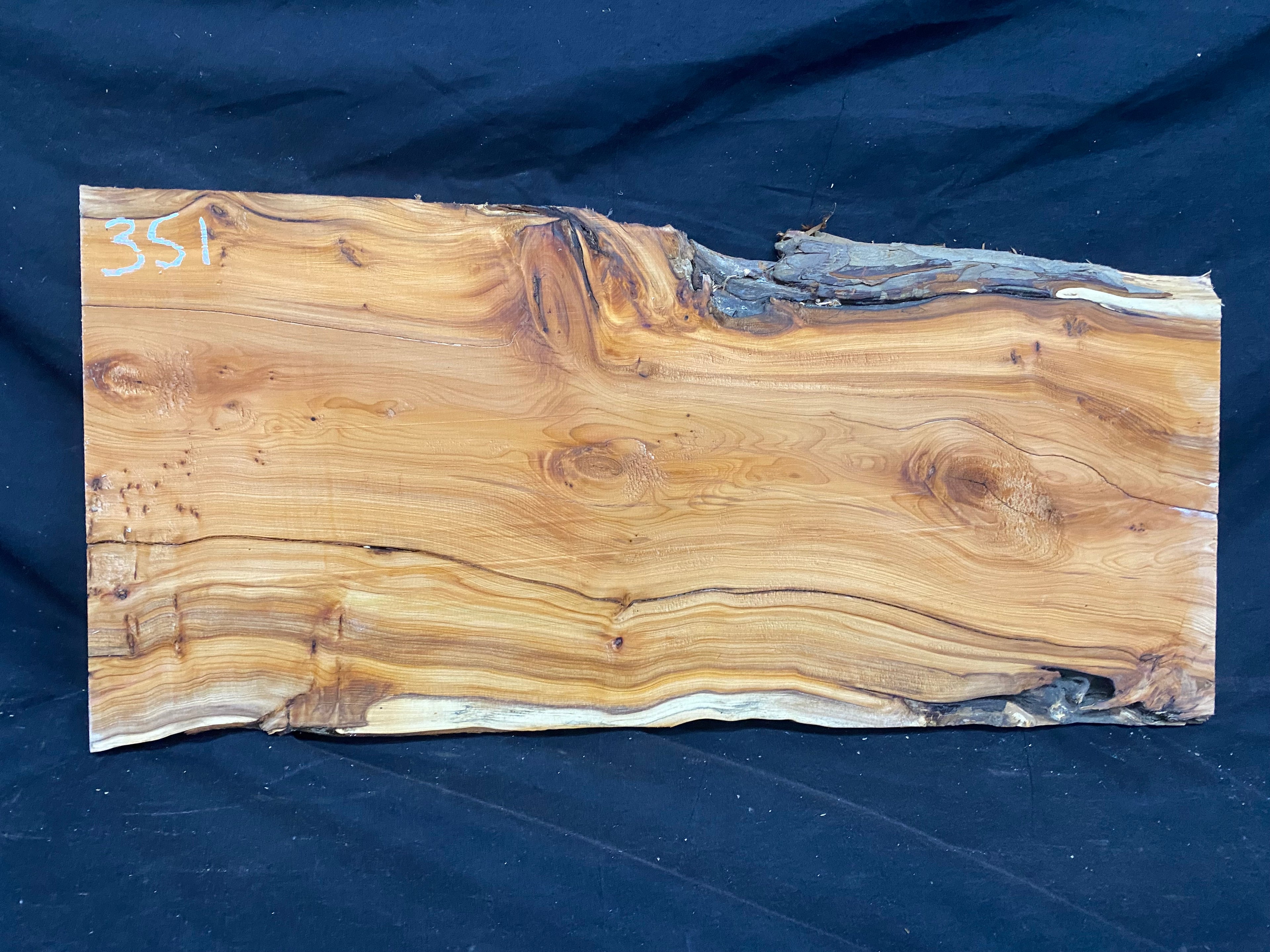 Hardwood yew, slab, resin table blank  607 L x 291 W x 17 D mm    (mf351)