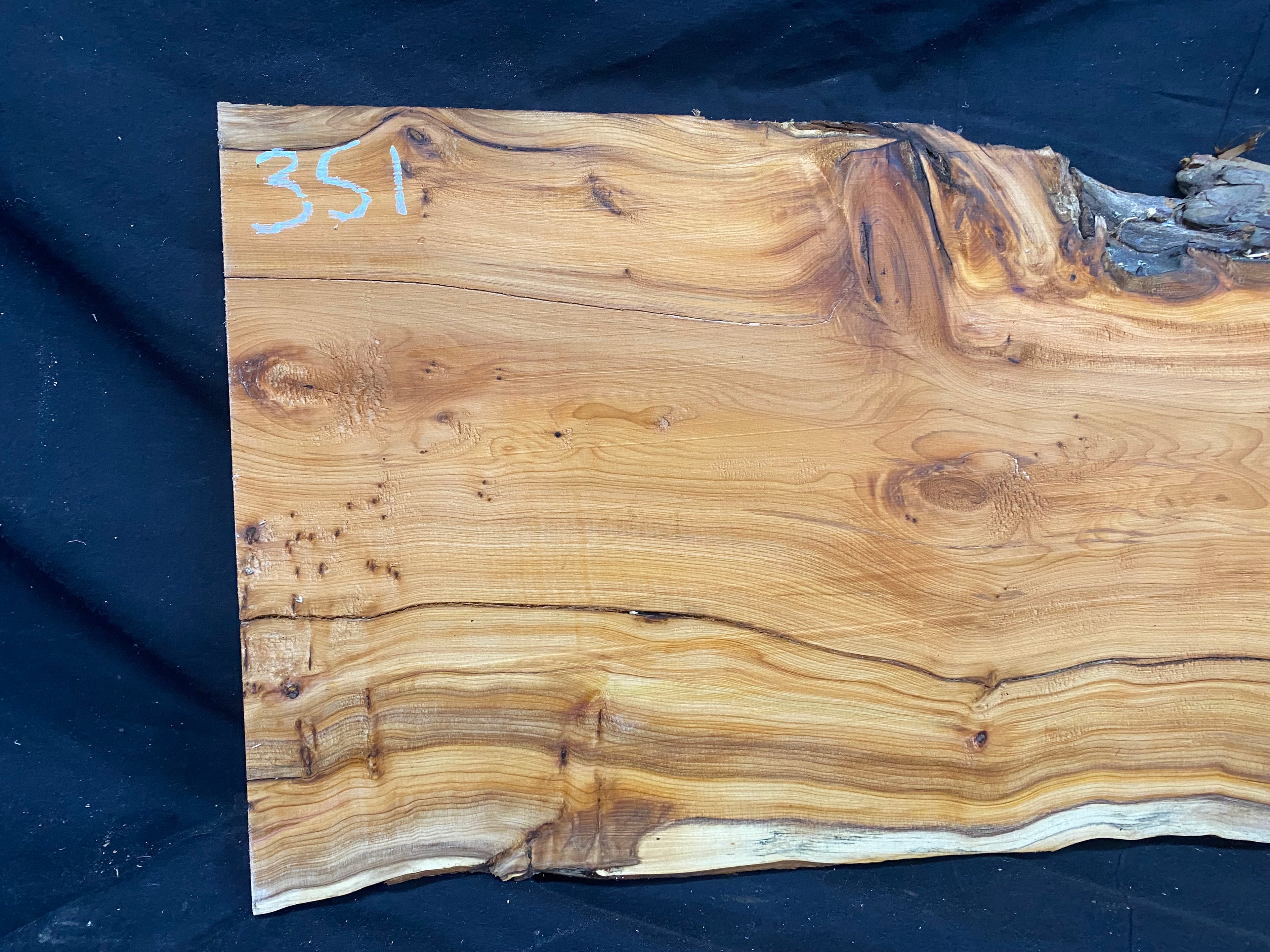 Hardwood yew, slab, resin table blank  607 L x 291 W x 17 D mm    (mf351)