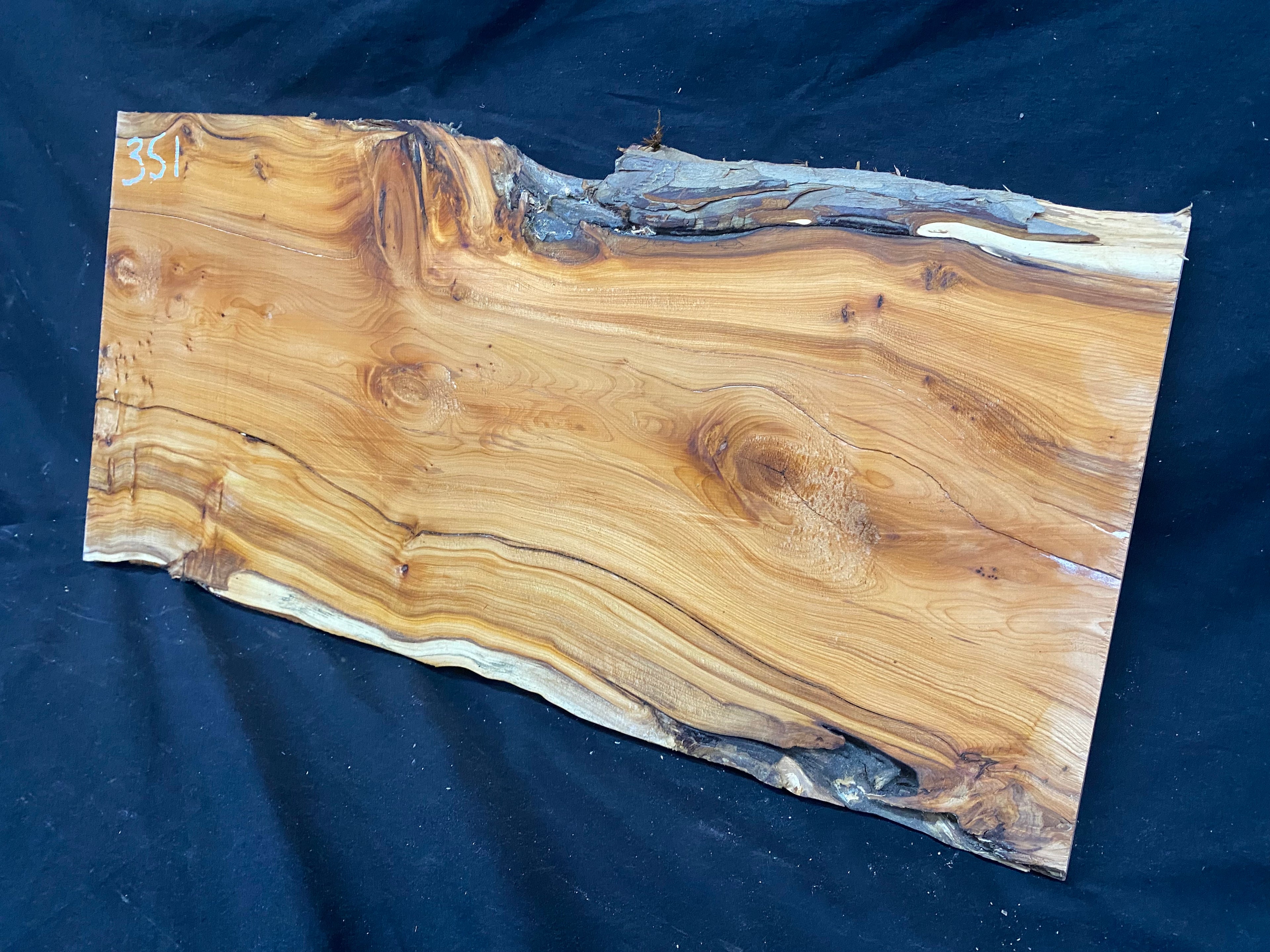 Hardwood yew, slab, resin table blank  607 L x 291 W x 17 D mm    (mf351)