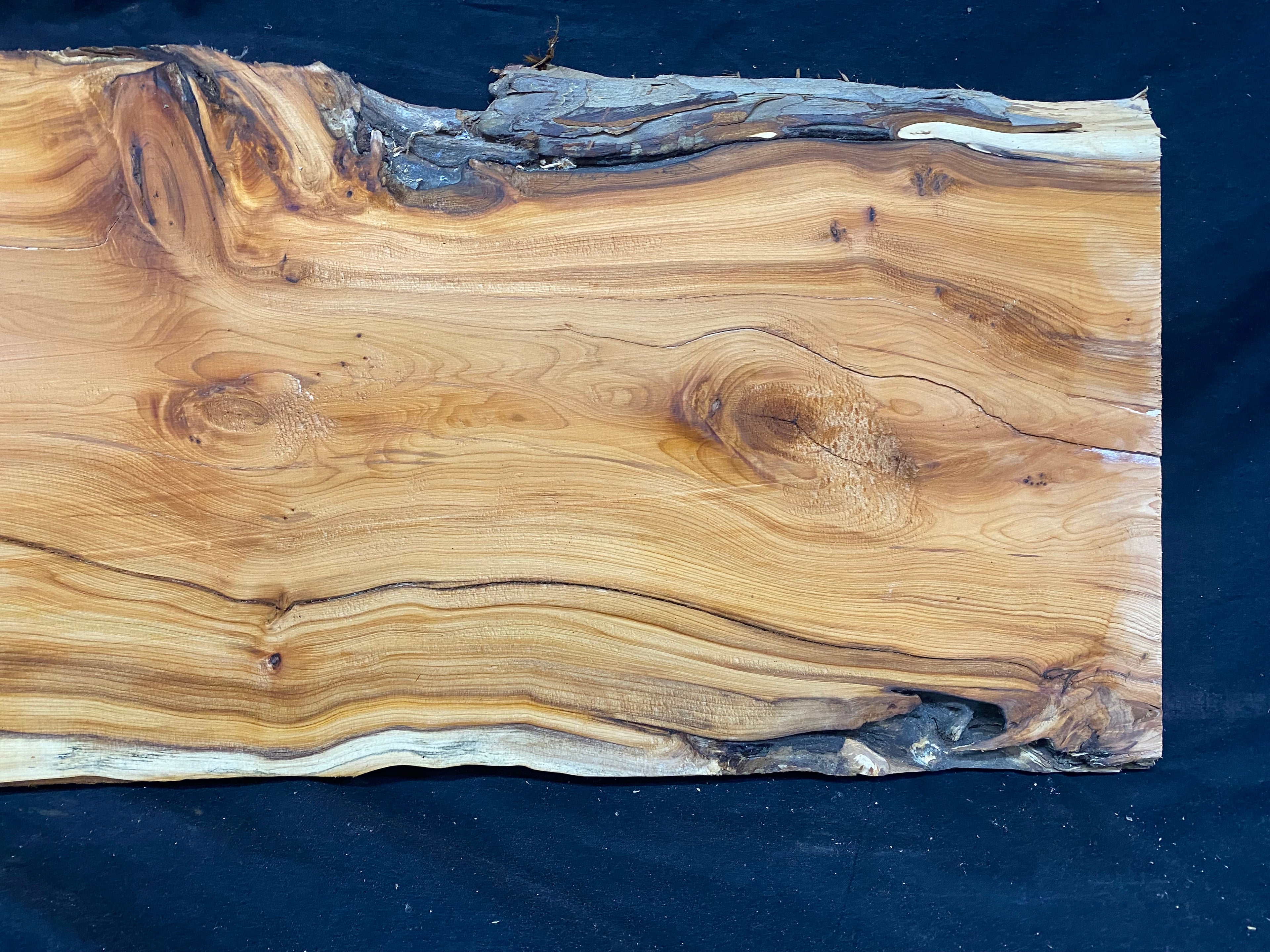 Hardwood yew, slab, resin table blank  607 L x 291 W x 17 D mm    (mf351)