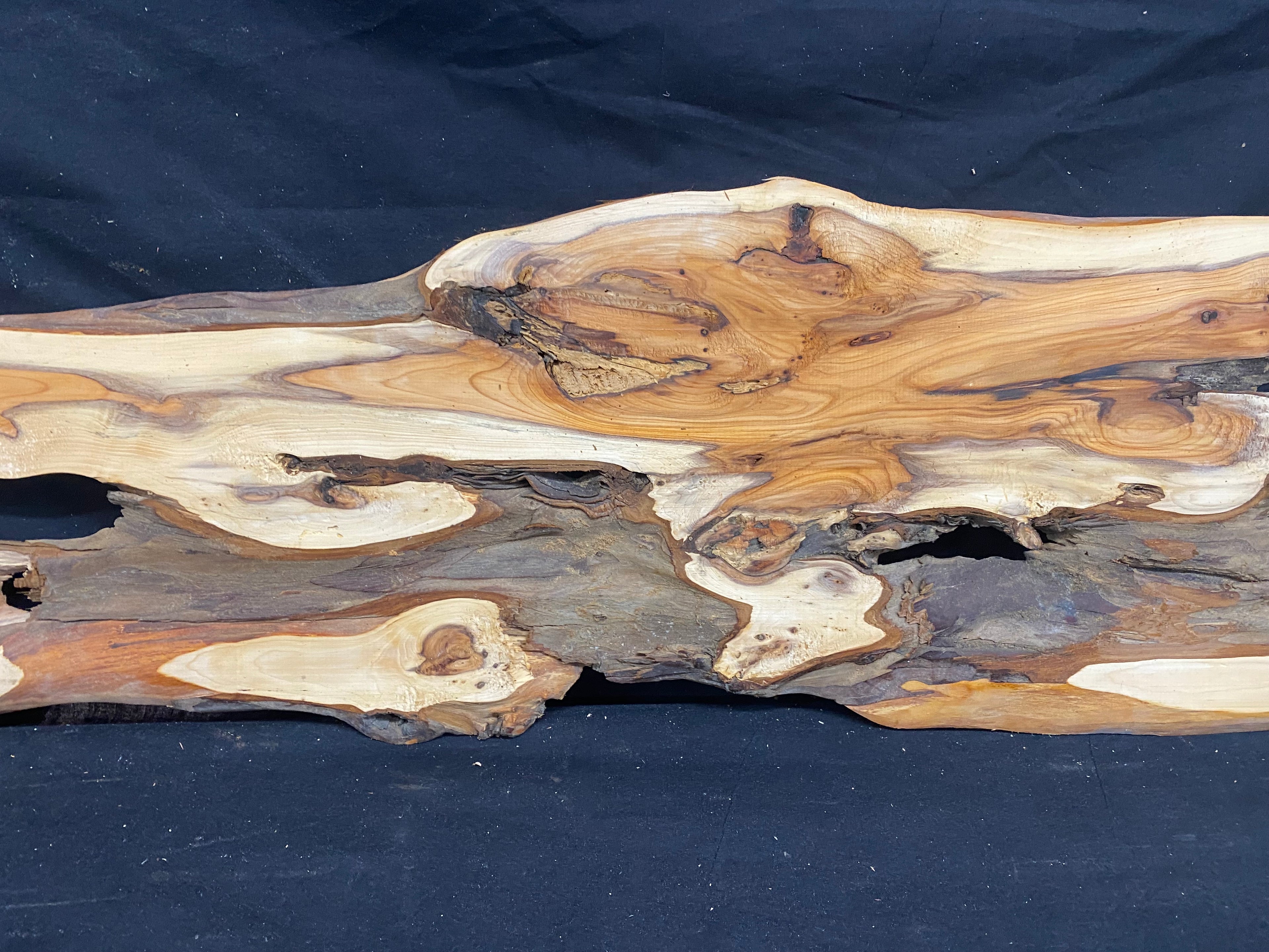 Hardwood yew, slab, resin table blank  910 L x 250 W x 11 D mm    (mf353)