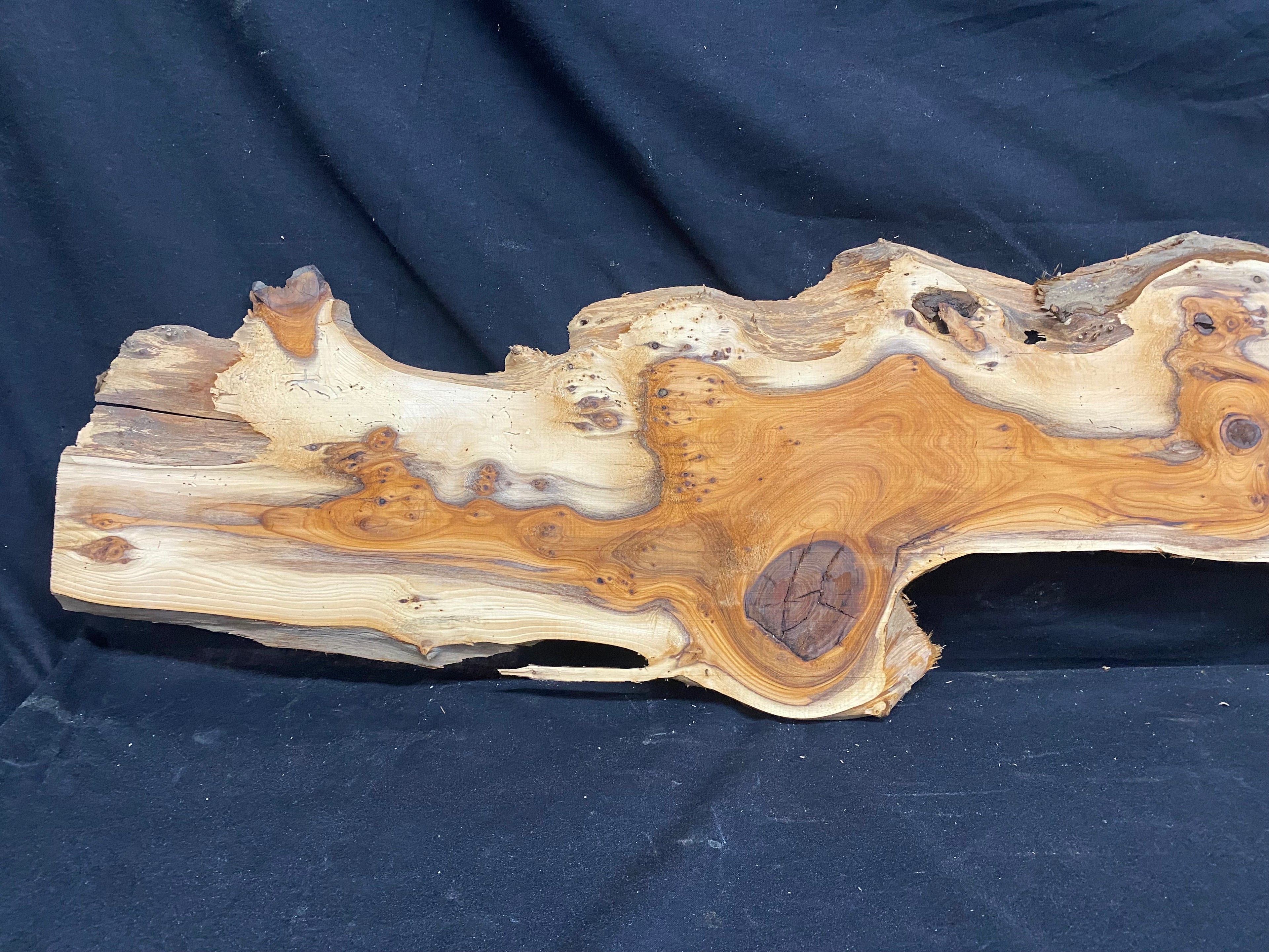 Hardwood yew, slab, resin table blank  1290 L x 234 W x 11 D mm    (mf354)