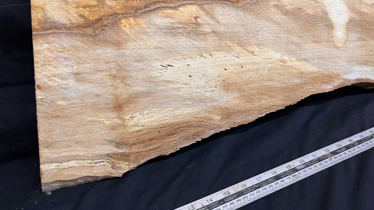 Hornbeam chopping board, slab shelf, 651 L x 412 W x 35 D mm  (694)