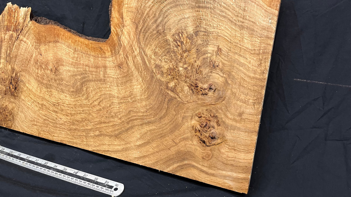 Burr oak hardwood window sill, plank 1451 L x 407 W x 32 D mm     (701)