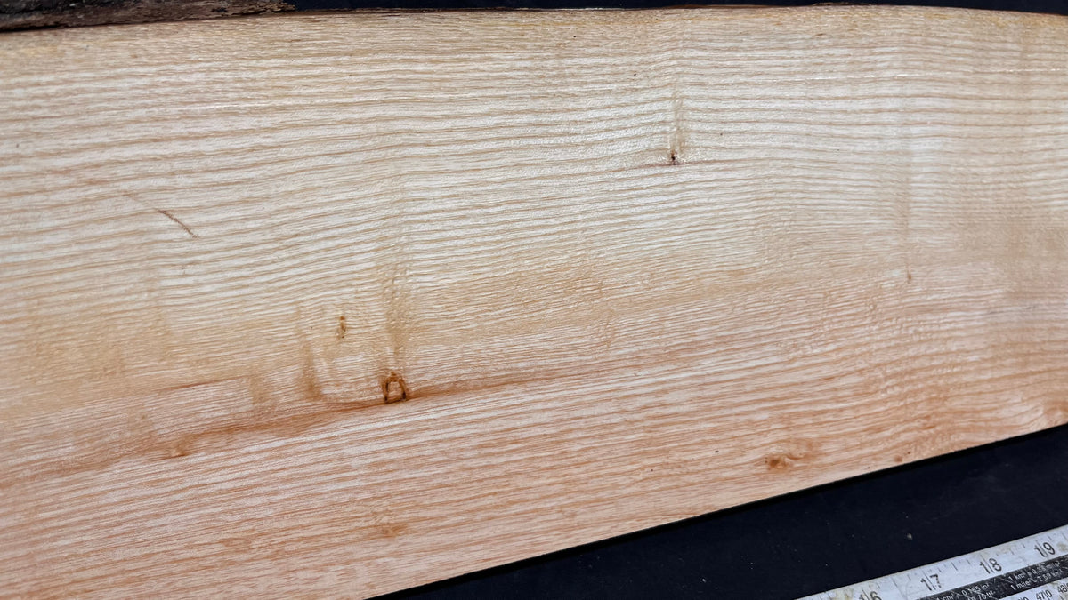 Ash timber boards, shelving 958 L x 173 W x 22 D mm       (706)