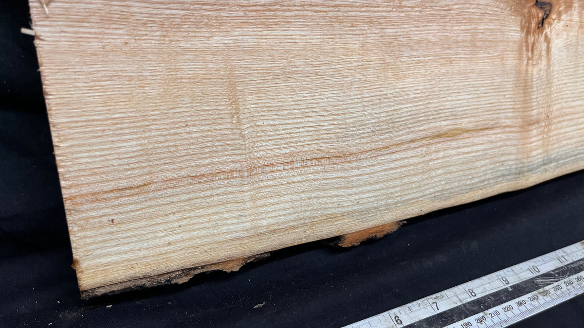 Ash timber boards, shelving 814 L x 170 W x 23 D mm       (709)