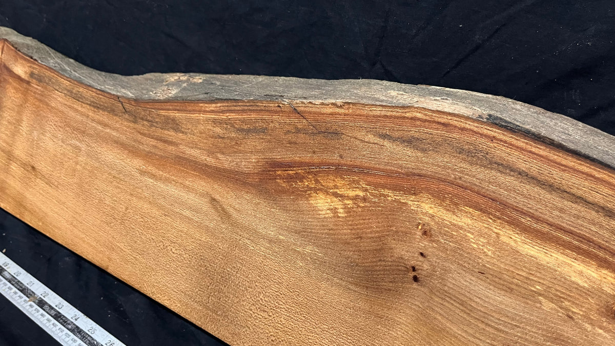 Elm mantle piece, natural edge 1230 L x 234 W x 55 D mm    (712)