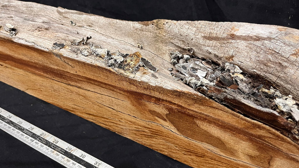 Elm mantle piece, natural edge 1129 L x 181 W x 90 D mm    (714)
