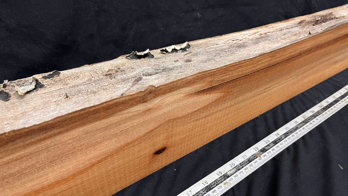 Elm mantle piece, natural edge 1129 L x 181 W x 90 D mm    (714)