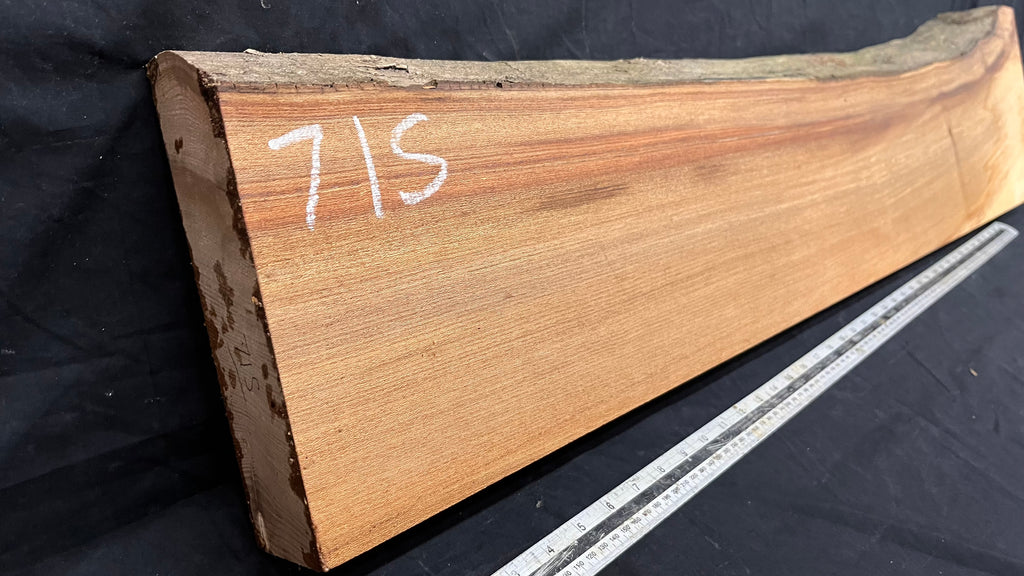 Elm mantle piece, natural edge 1146 L x 258 W x 60 D mm    (715)