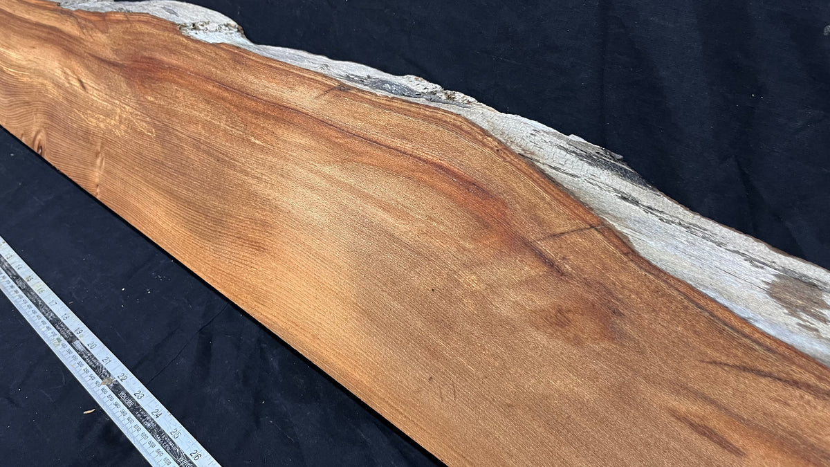 Elm mantle piece, natural edge 1228 L x 202 W x 58 D mm    (717)