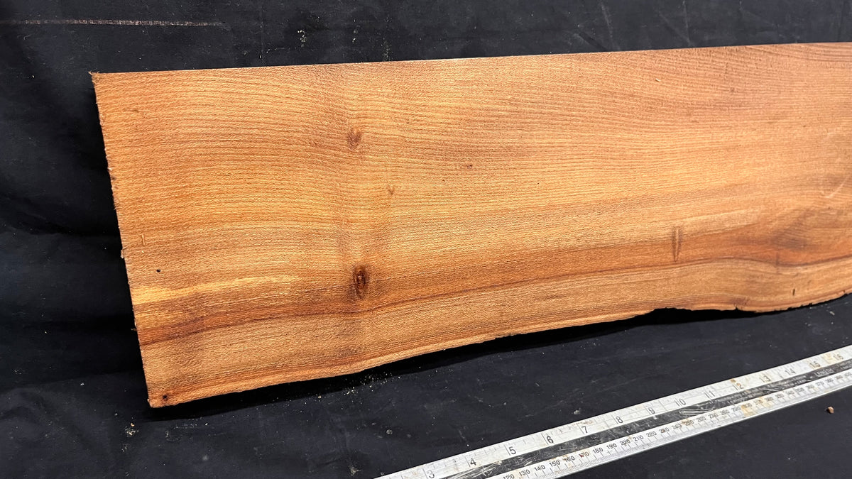 Elm mantle piece, natural edge 1228 L x 202 W x 58 D mm    (717)