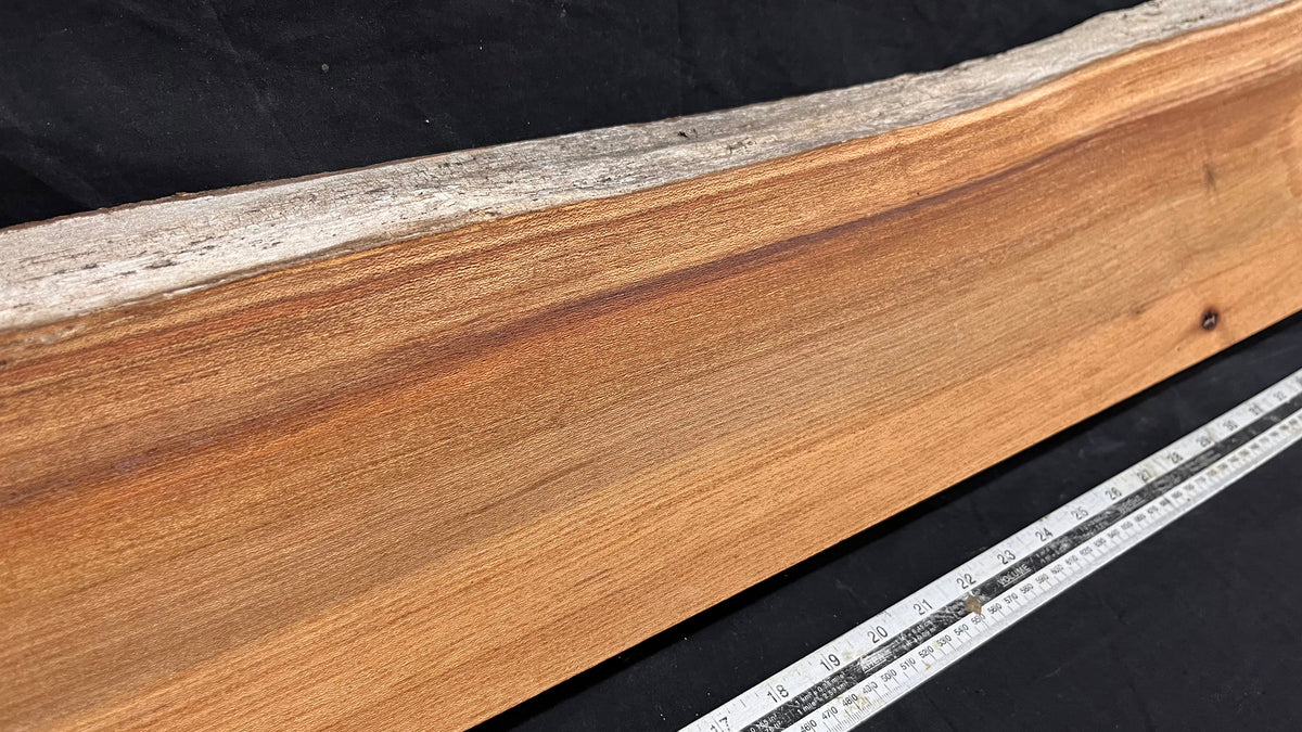 Elm mantle piece, natural edge 1142 L x 227 W x 57 D mm    (718)