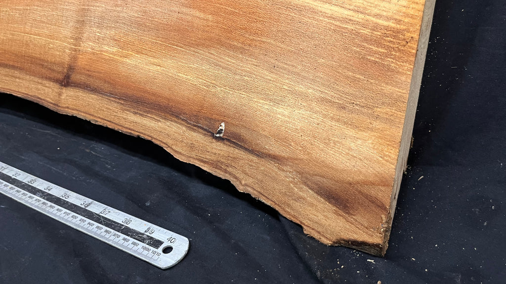 Elm mantle piece, natural edge 1142 L x 227 W x 57 D mm    (718)