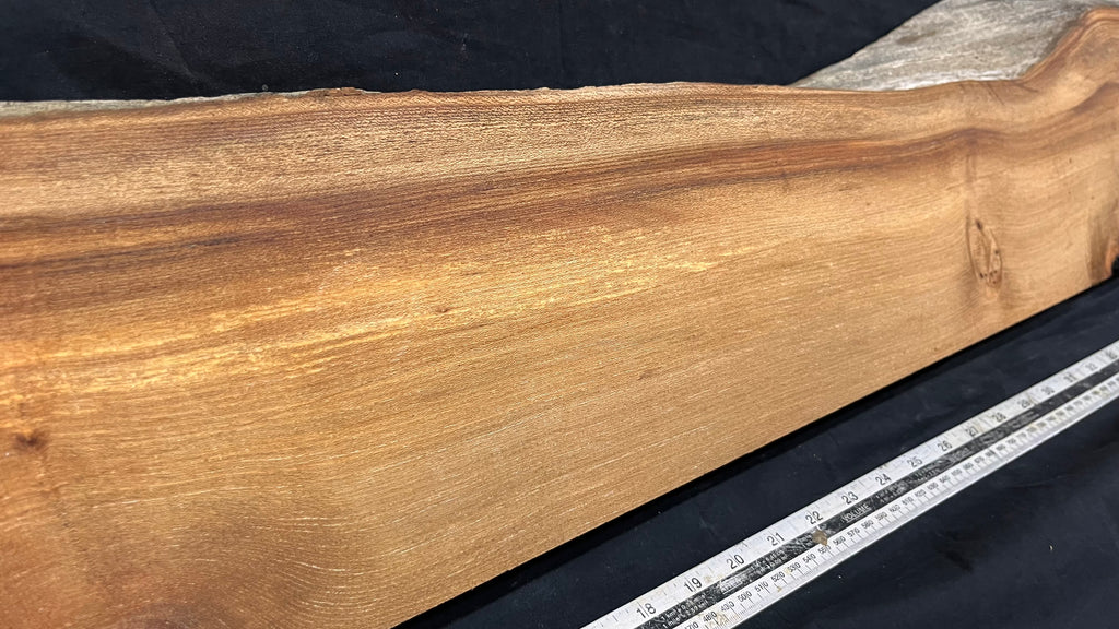 Elm mantle piece, natural edge 1195 L x 203 W x 60 D mm    (719)