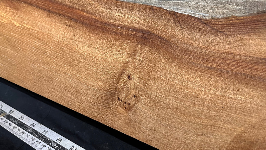 Elm mantle piece, natural edge 1195 L x 203 W x 60 D mm    (719)